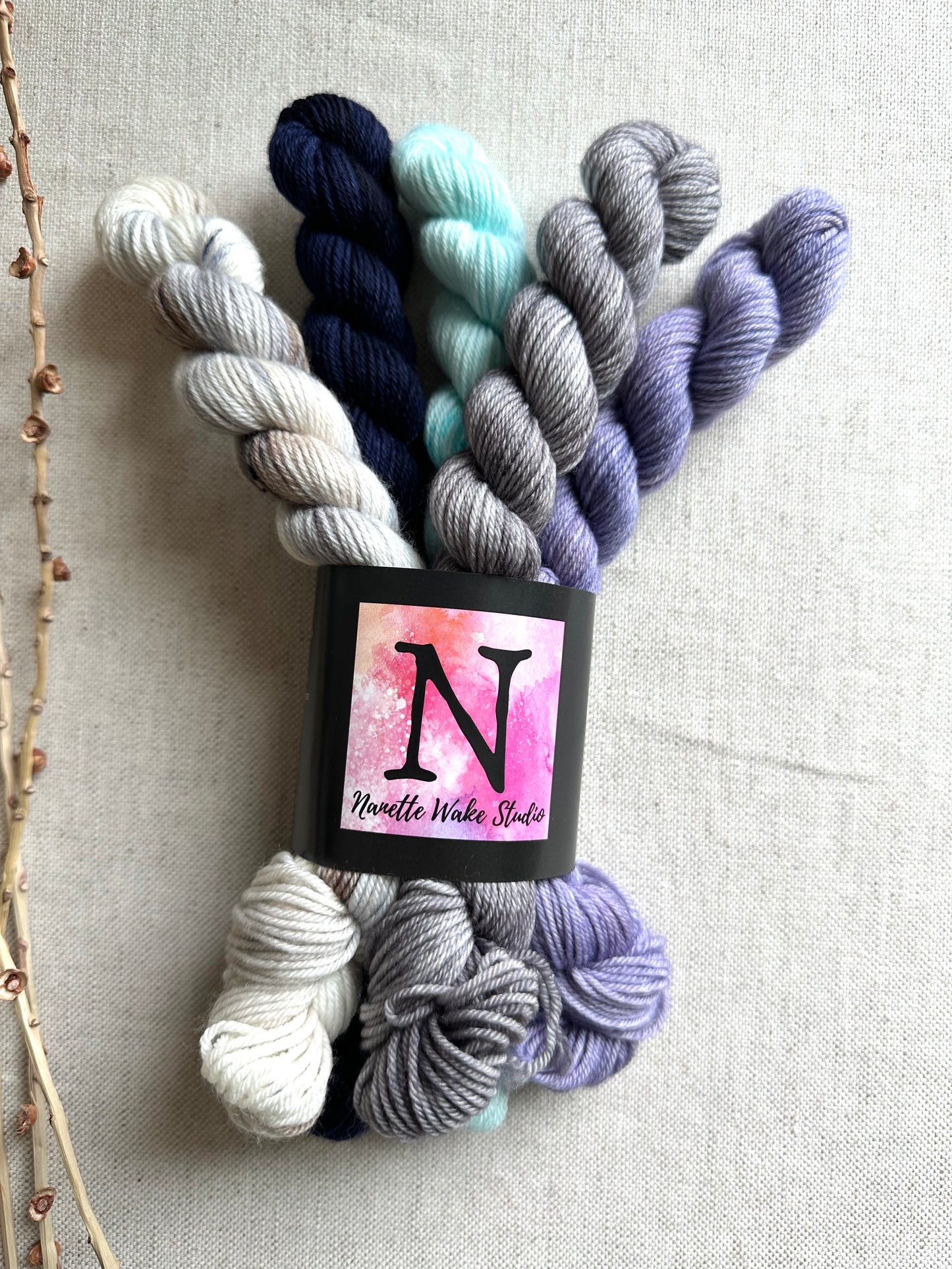 Shoreline- SW Merino Nylon Mini Skein Set