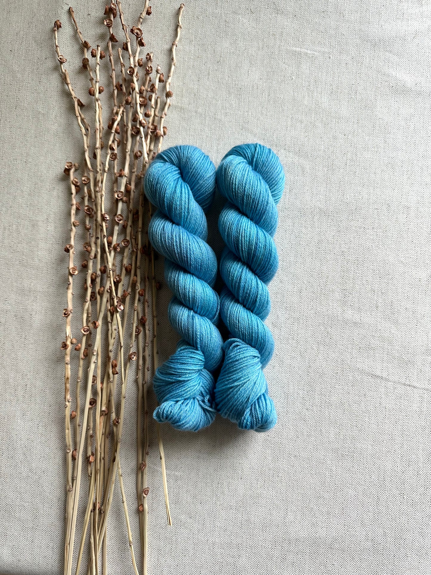 Lobelia SW Merino Nylon 50g Skein