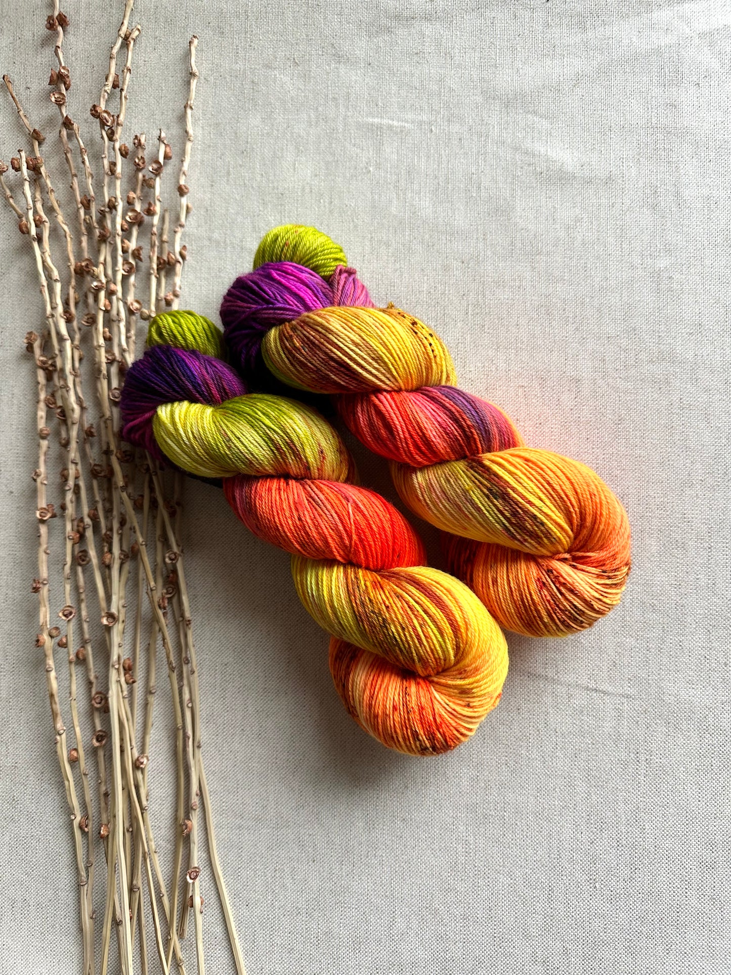 We'll Sing In The Sunshine - 100g SW Merino Nylon