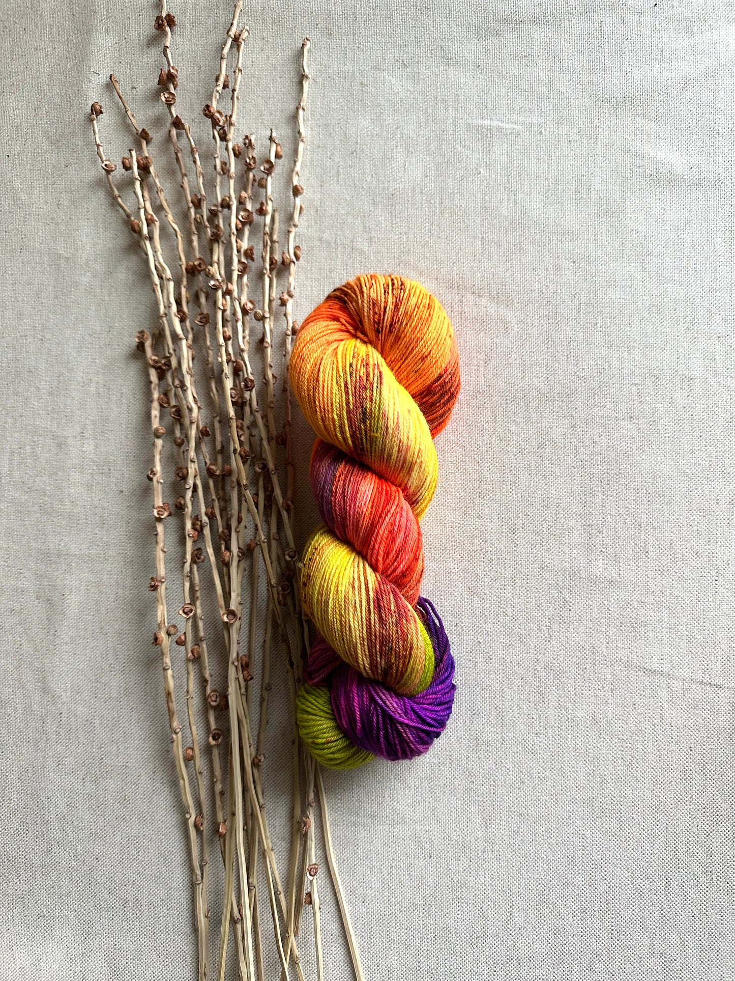 We'll Sing In The Sunshine - 100g SW Merino Nylon