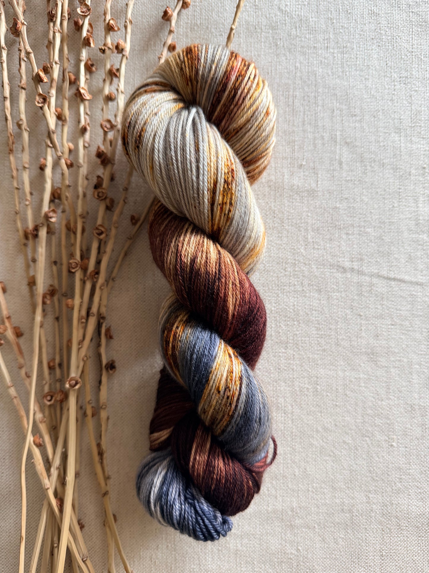 Mt. Adams - A Washington State Colorway SW Merino Nylon 100g