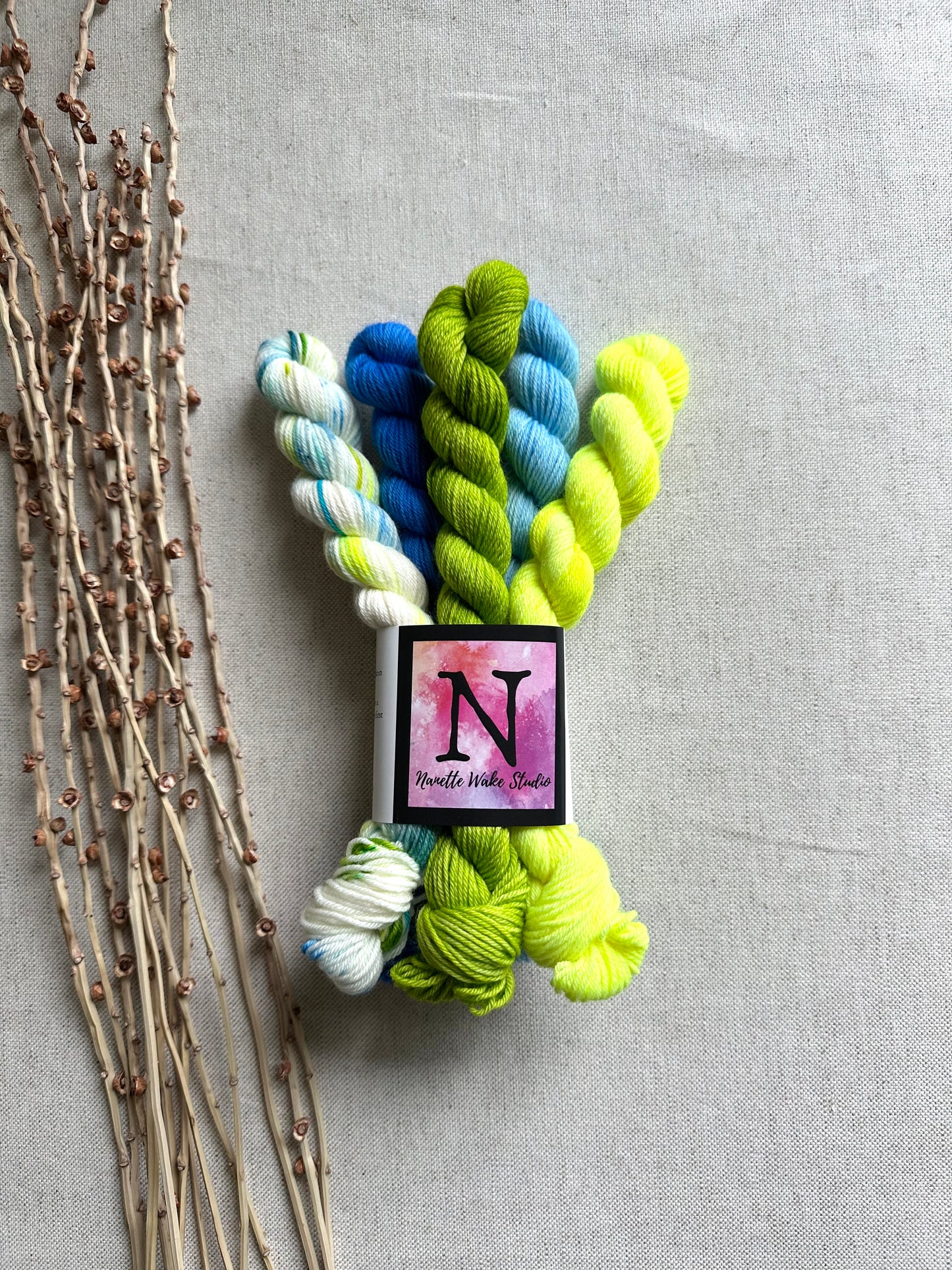 The Moon Is Shining Bright - SW Merino Nylon Mini Skein Set