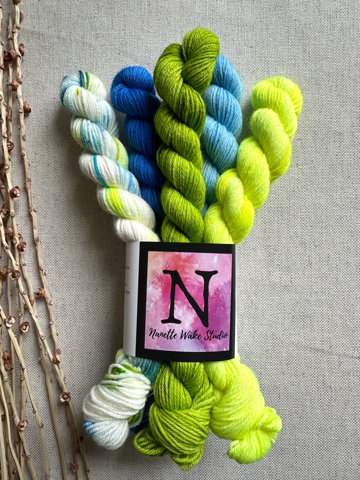 The Moon Is Shining Bright - SW Merino Nylon Mini Skein Set