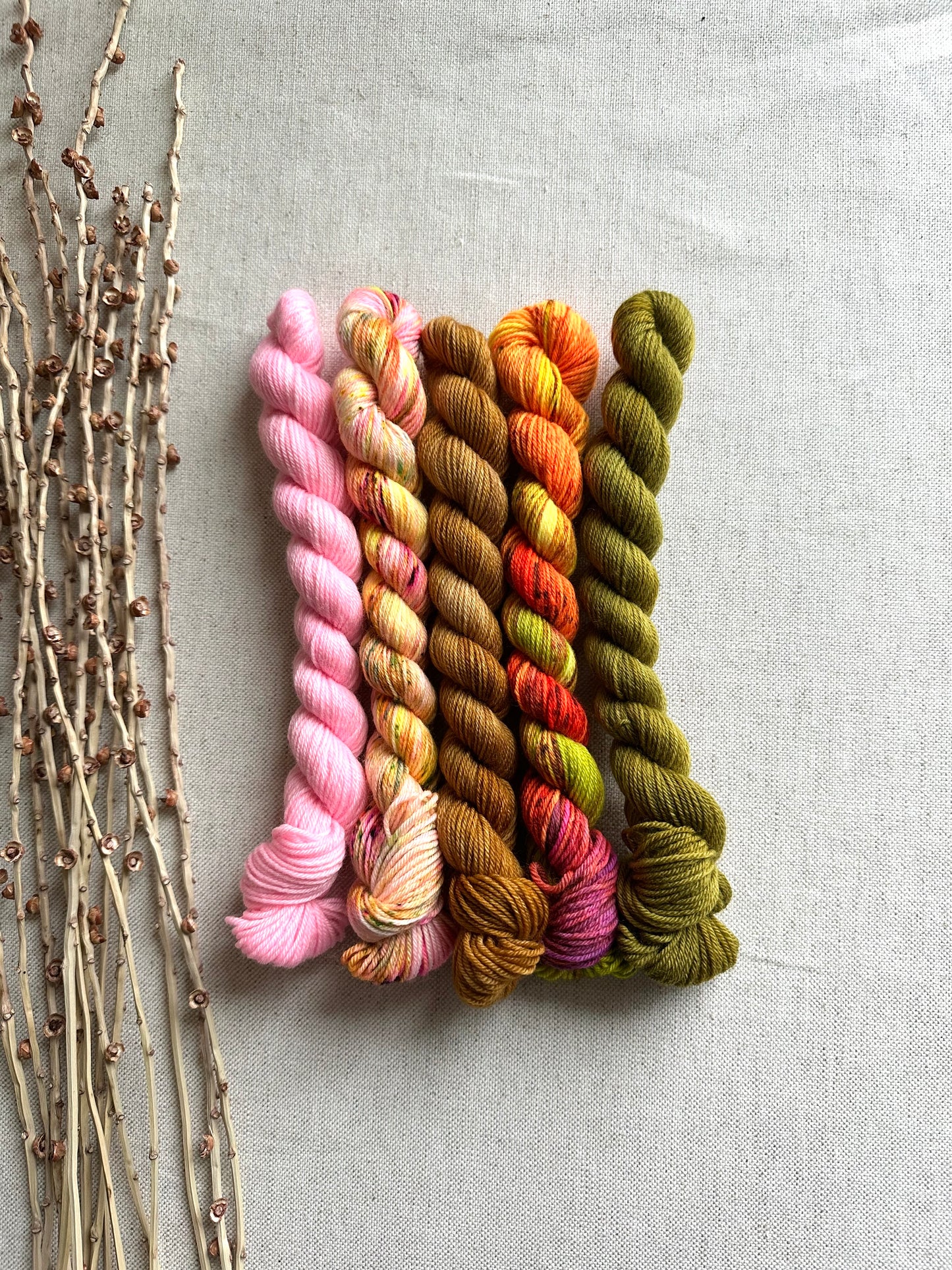 We'll Sing in the Sunshine - SW Merino Nylon Mini Skein Set