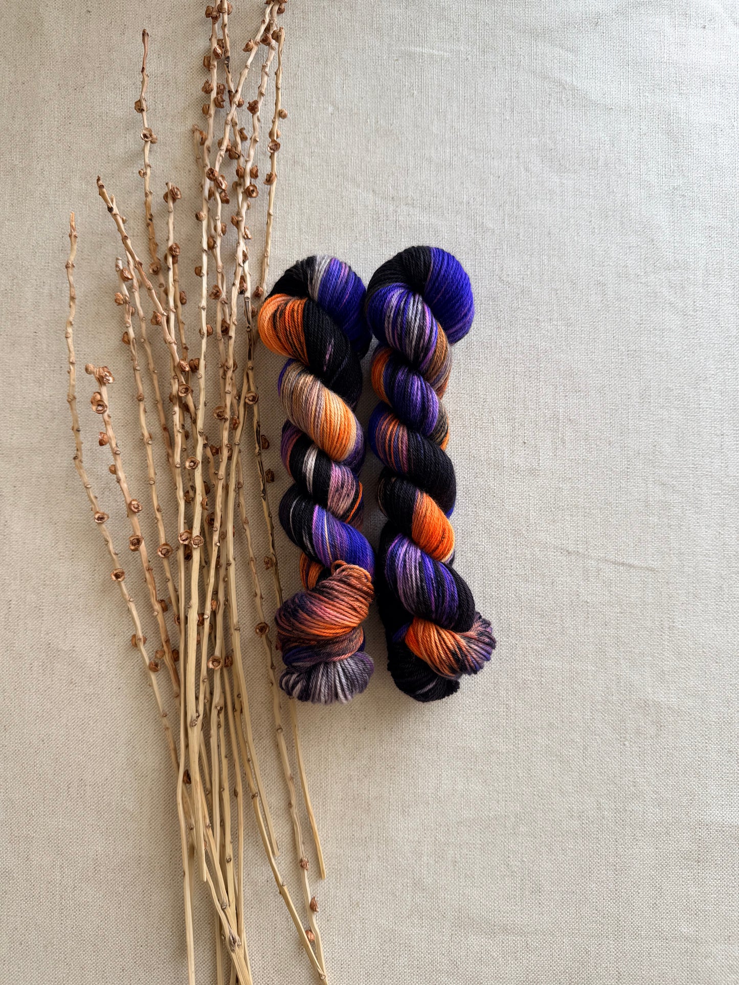 Mrs. Wicked Stockings SW Merino Nylon 50g Skein