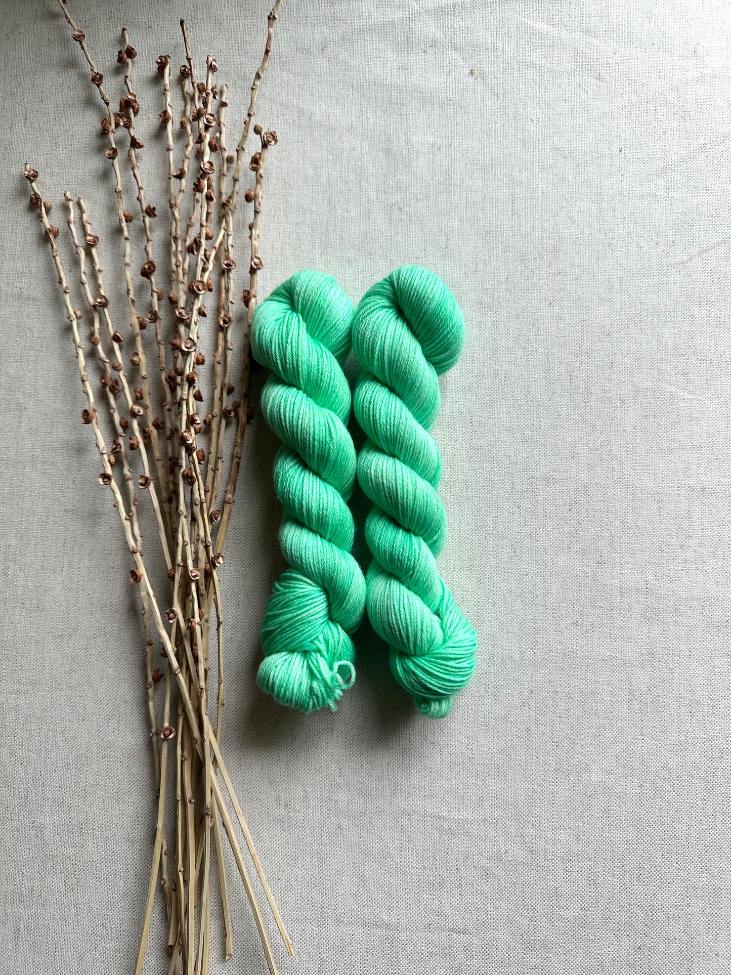 Mint SW Merino Nylon 50g Skein
