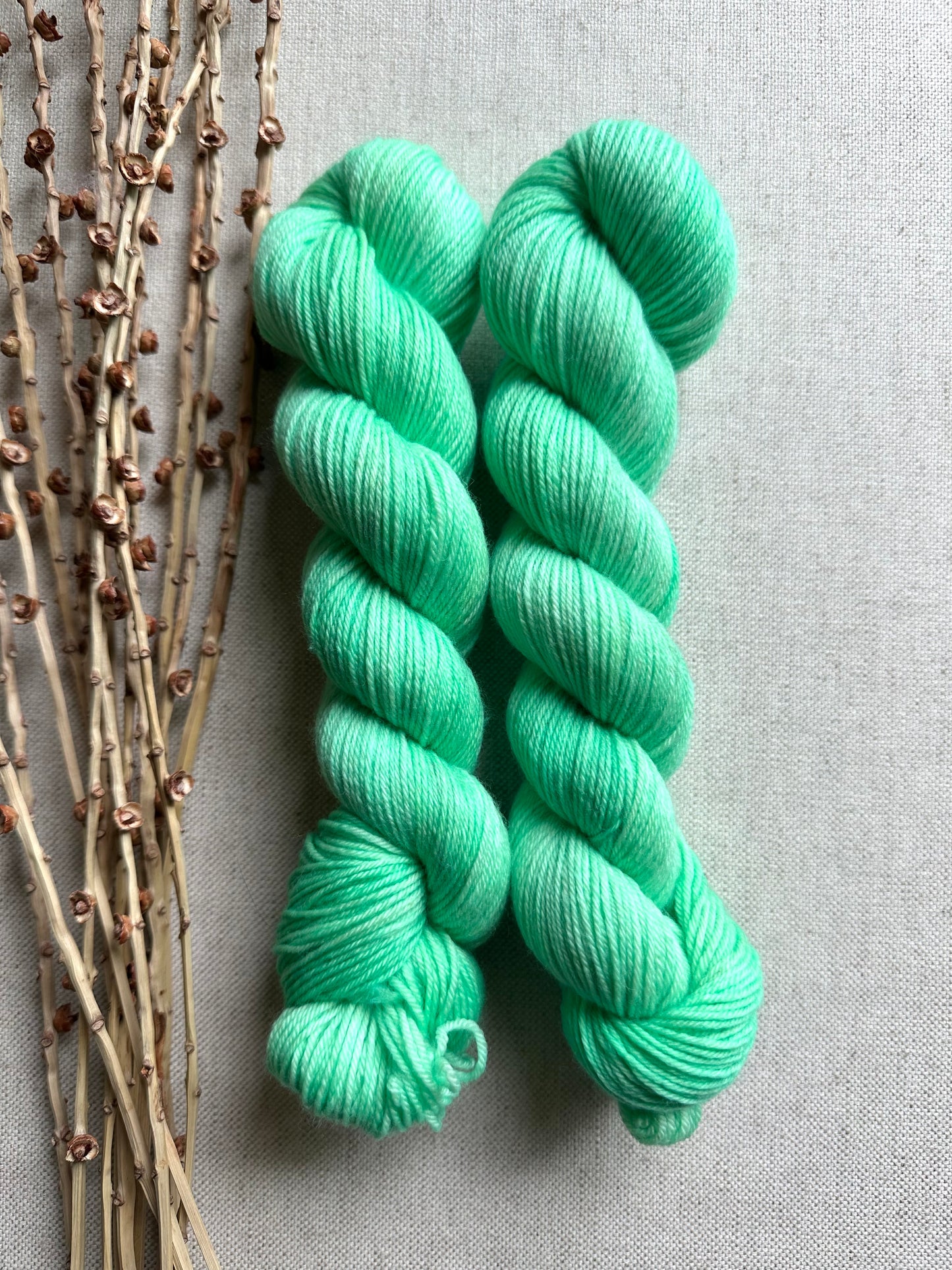 Mint SW Merino Nylon 50g Skein