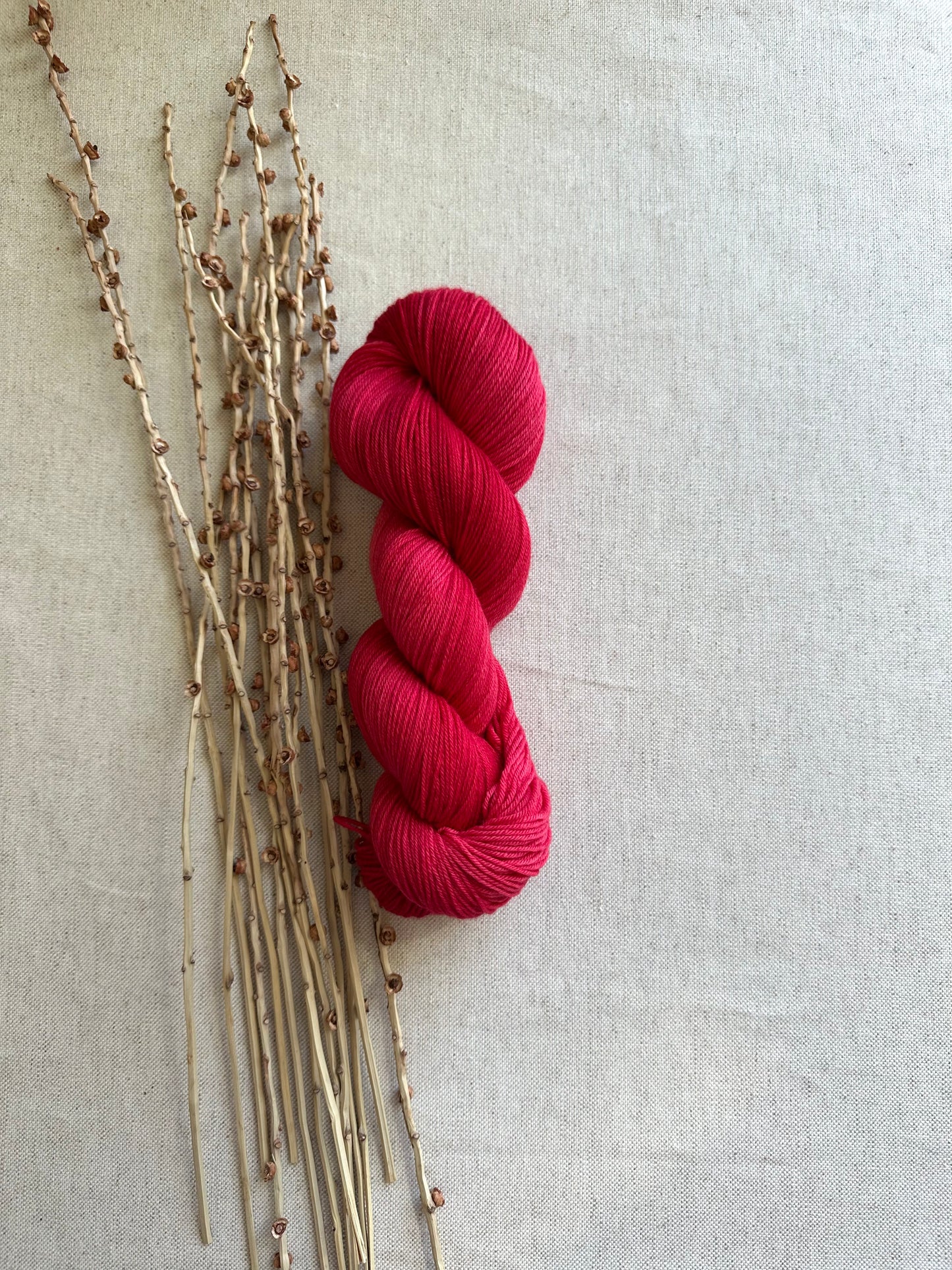 Poinsettia Merino Untreated