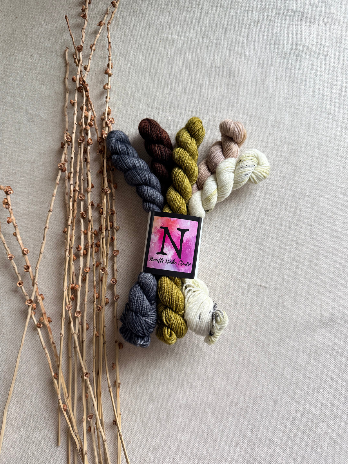 Neutrals - SW Merino Nylon Mini Skein Set
