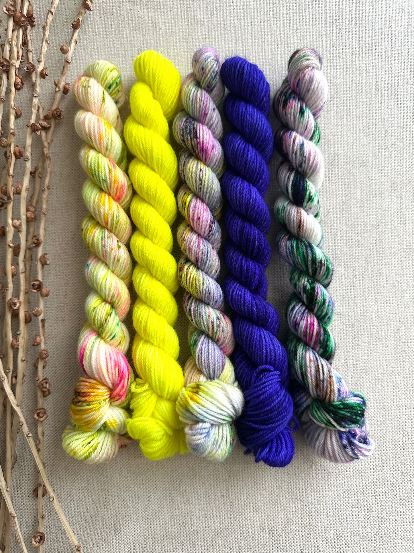 Blarney - SW Merino Nylon Mini Skein Set
