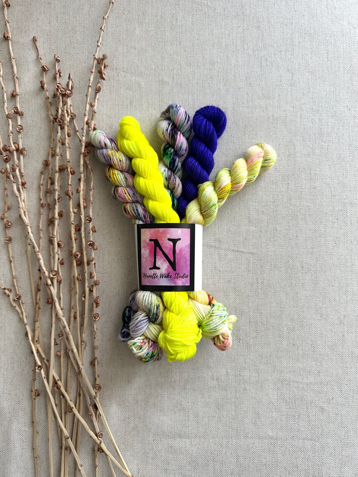 Blarney - SW Merino Nylon Mini Skein Set