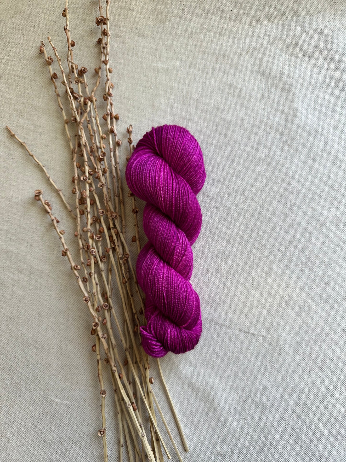 Berries 100g SW Merino Nylon
