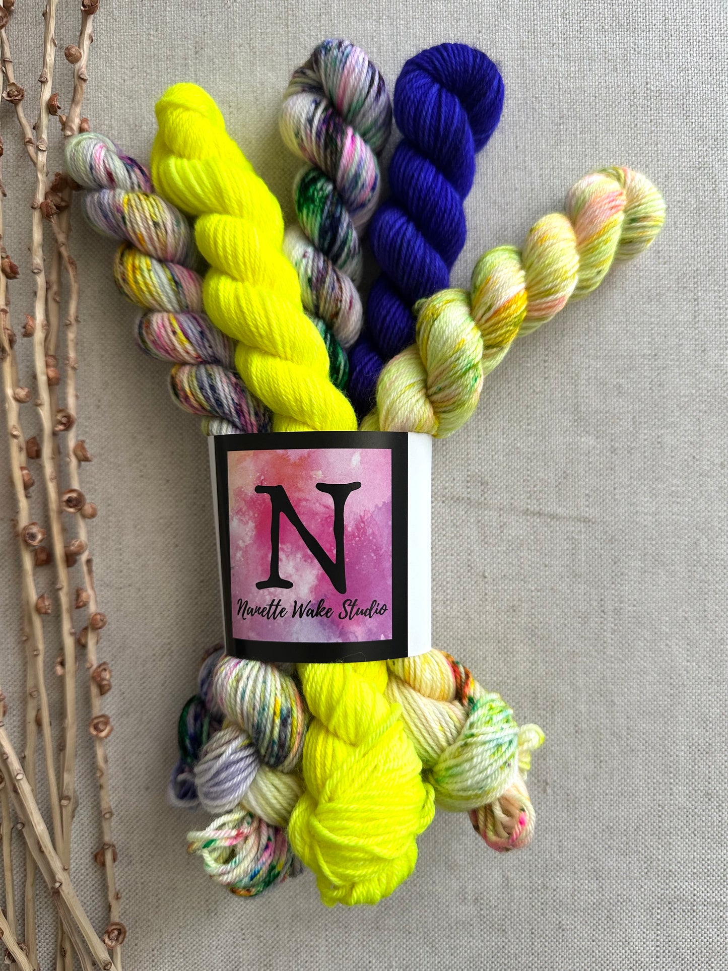 Blarney - SW Merino Nylon Mini Skein Set