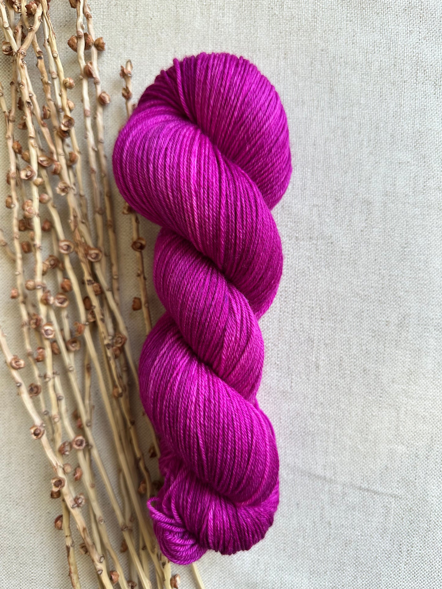 Berries 100g SW Merino Nylon