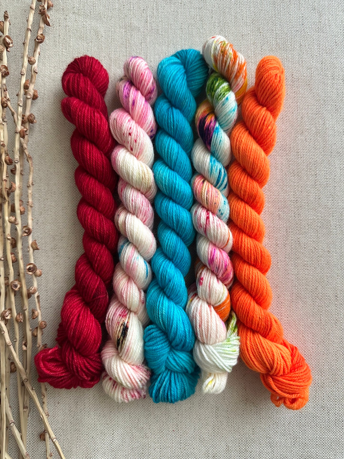 Baja - SW Merino Nylon Mini Skein Set