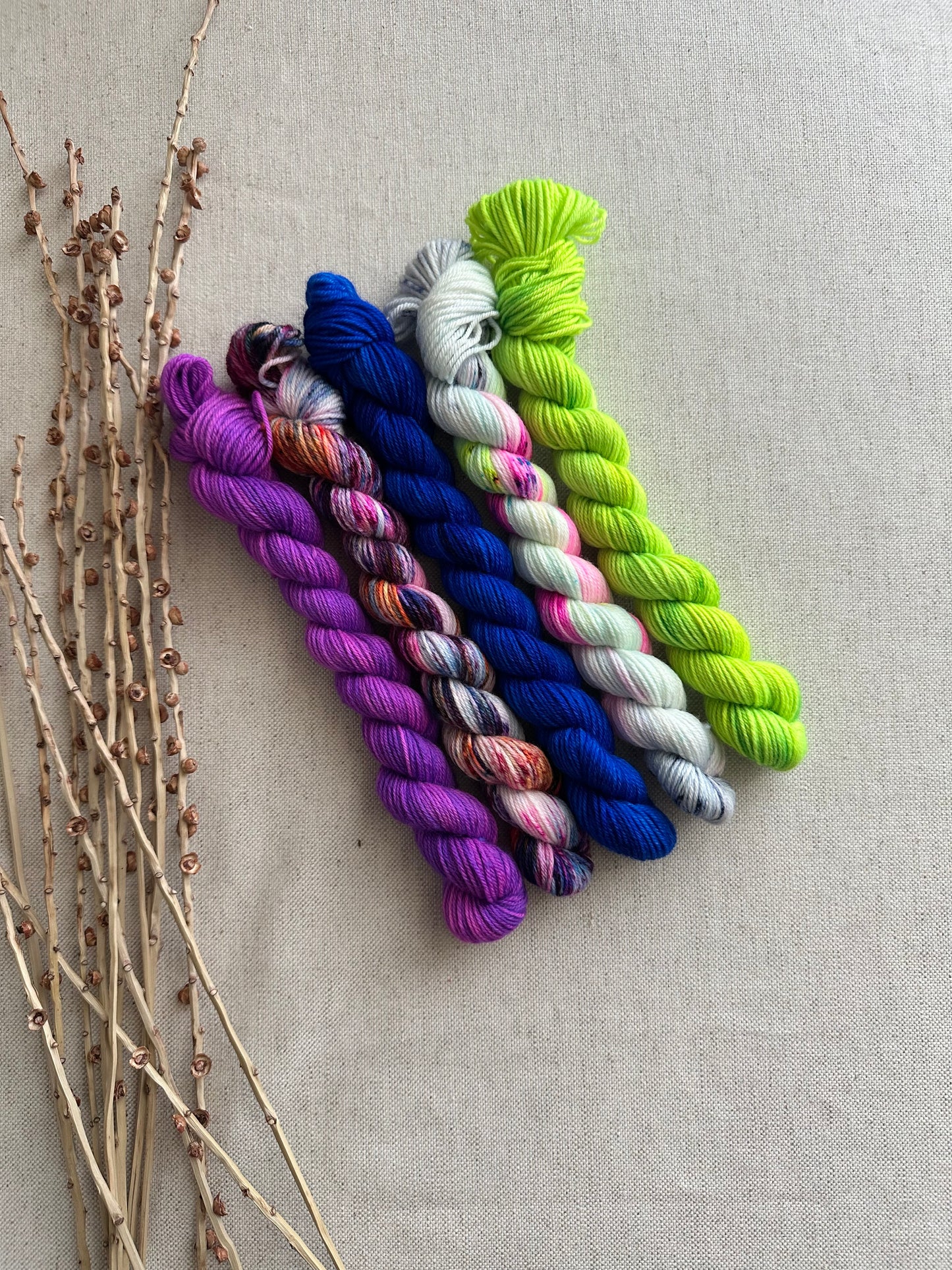 Threw In The Kitchen Sink - SW Merino Nylon Mini Skein Set