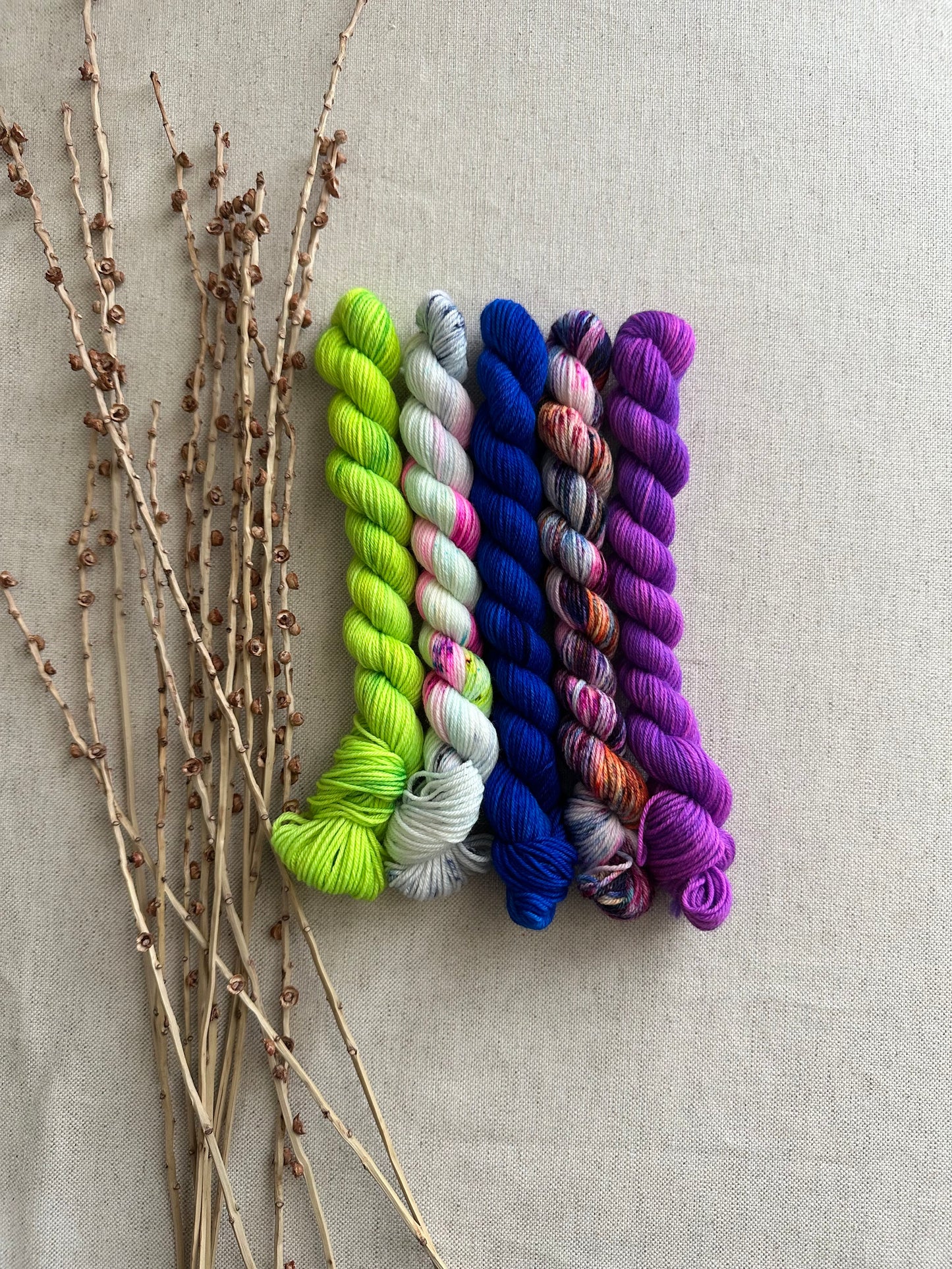 Threw In The Kitchen Sink - SW Merino Nylon Mini Skein Set