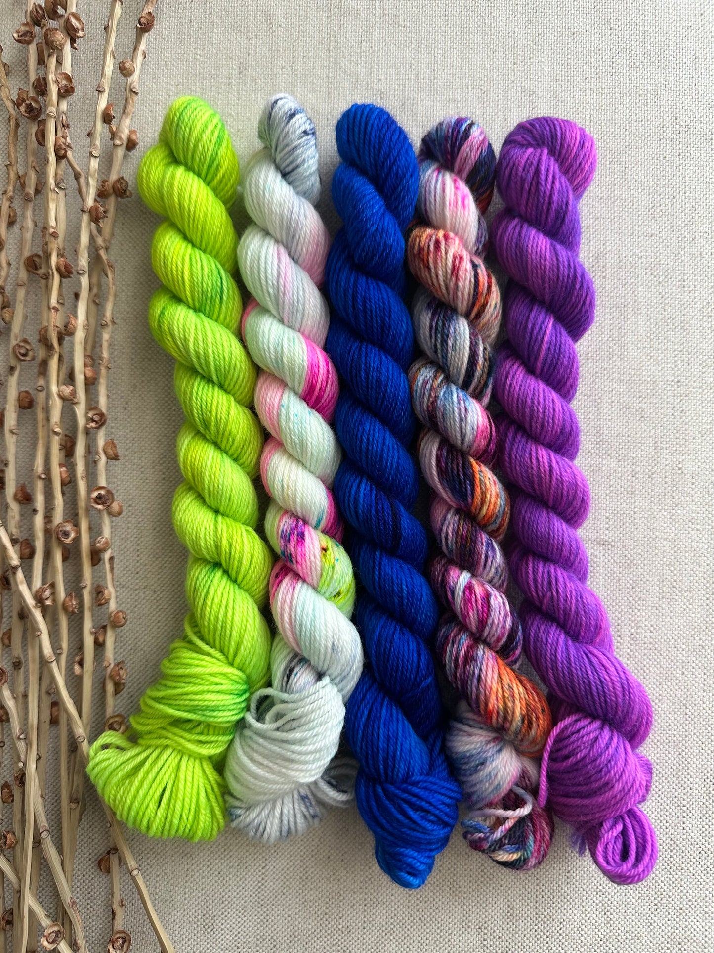 Threw In The Kitchen Sink - SW Merino Nylon Mini Skein Set
