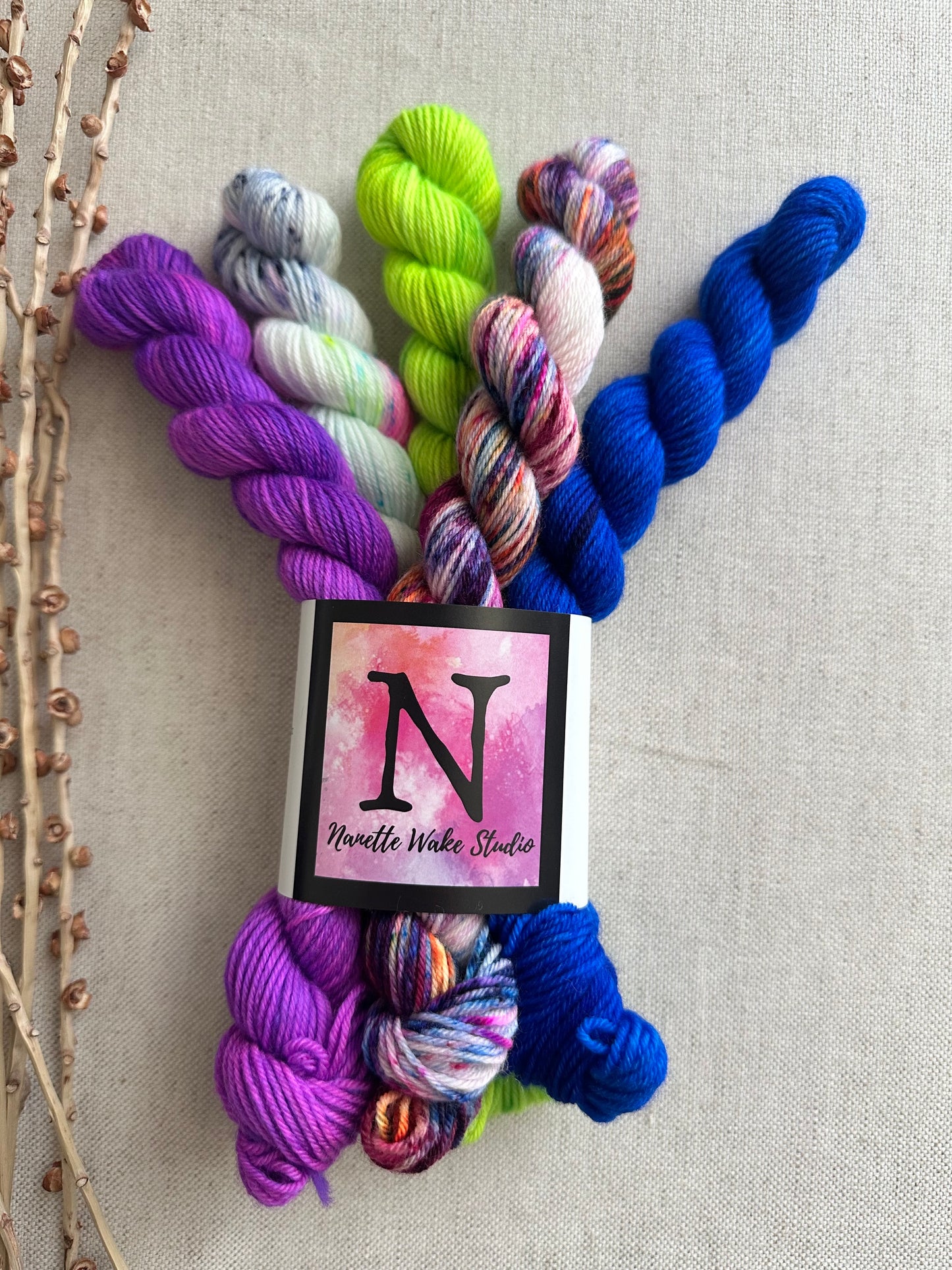 Threw In The Kitchen Sink - SW Merino Nylon Mini Skein Set