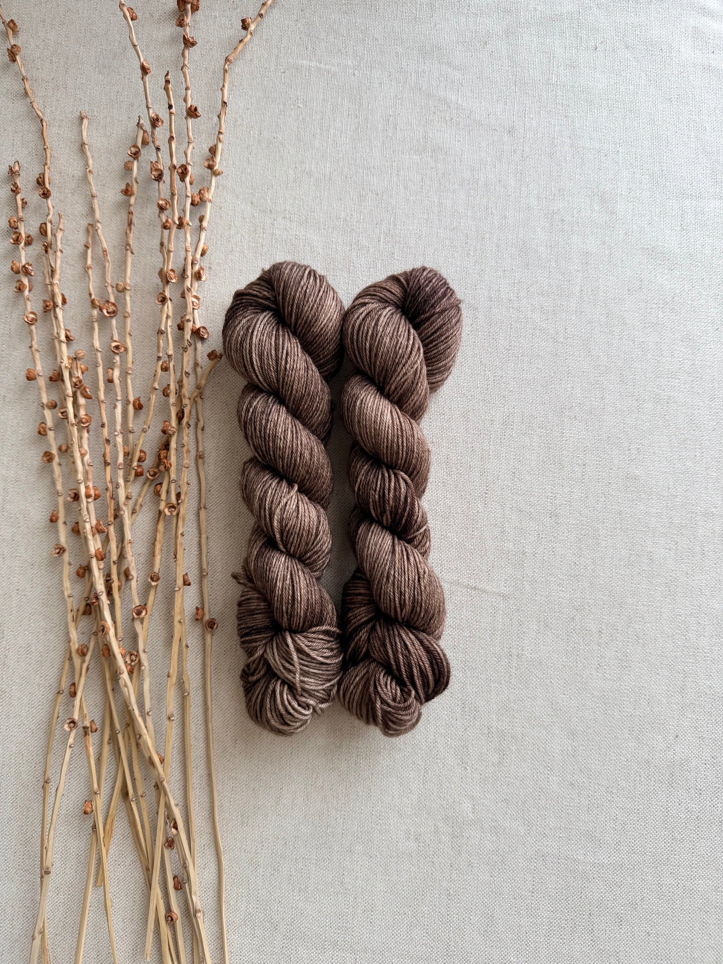 Pecan SW Merino Nylon 50g Skein