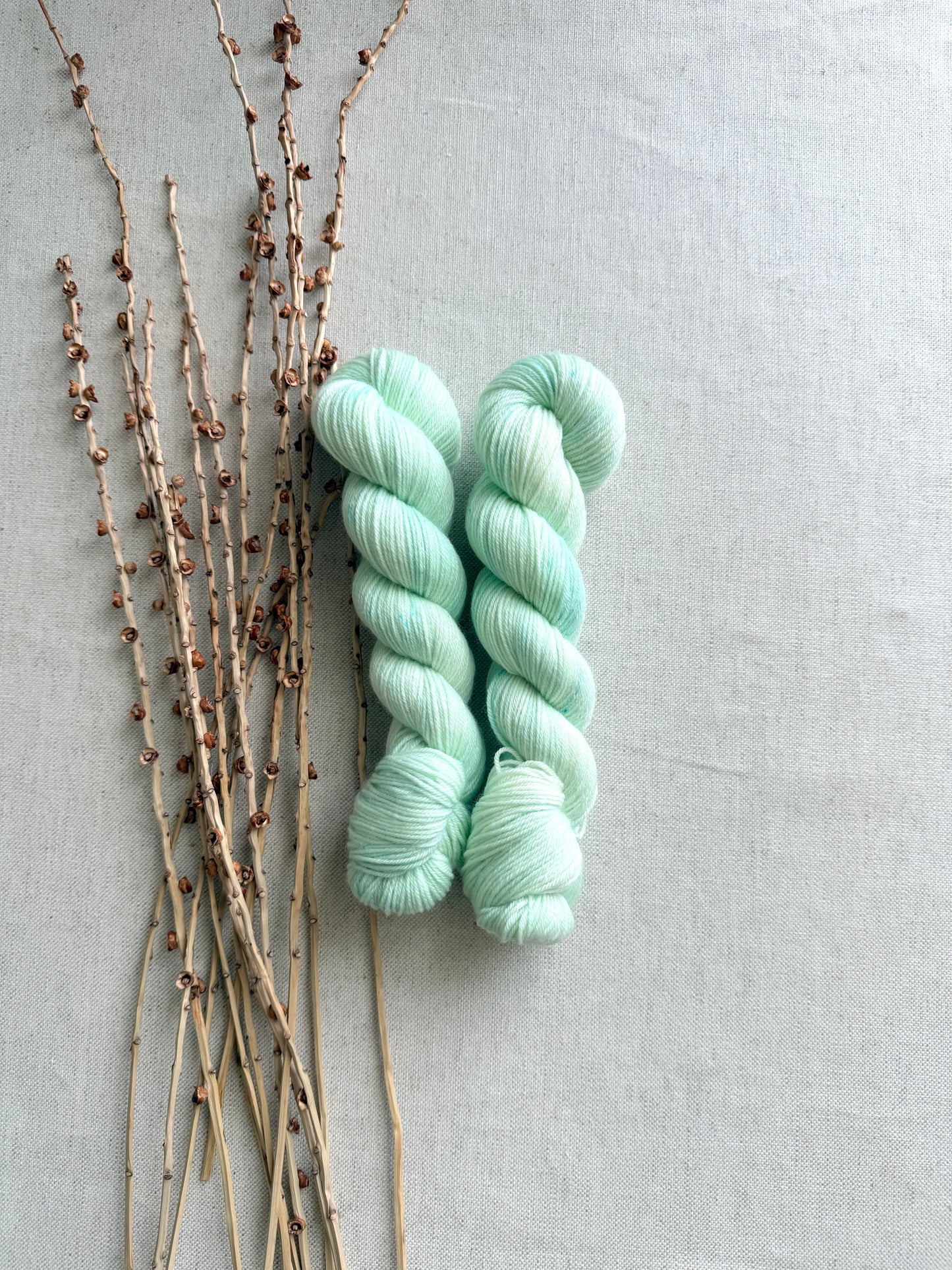 Icy Green SW Merino Nylon 50g Skein