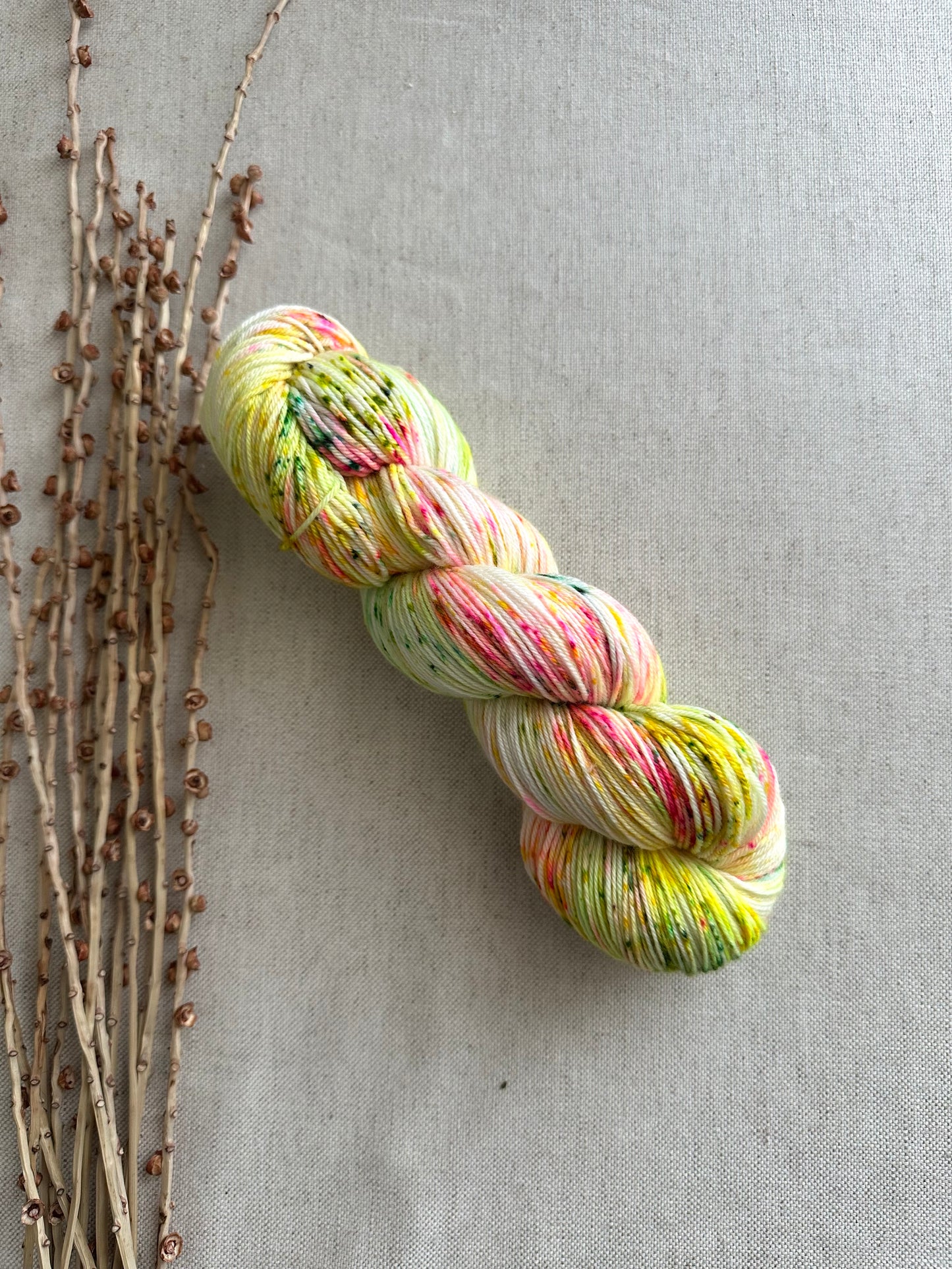 Fizzbin SW Merino Nylon Yarn