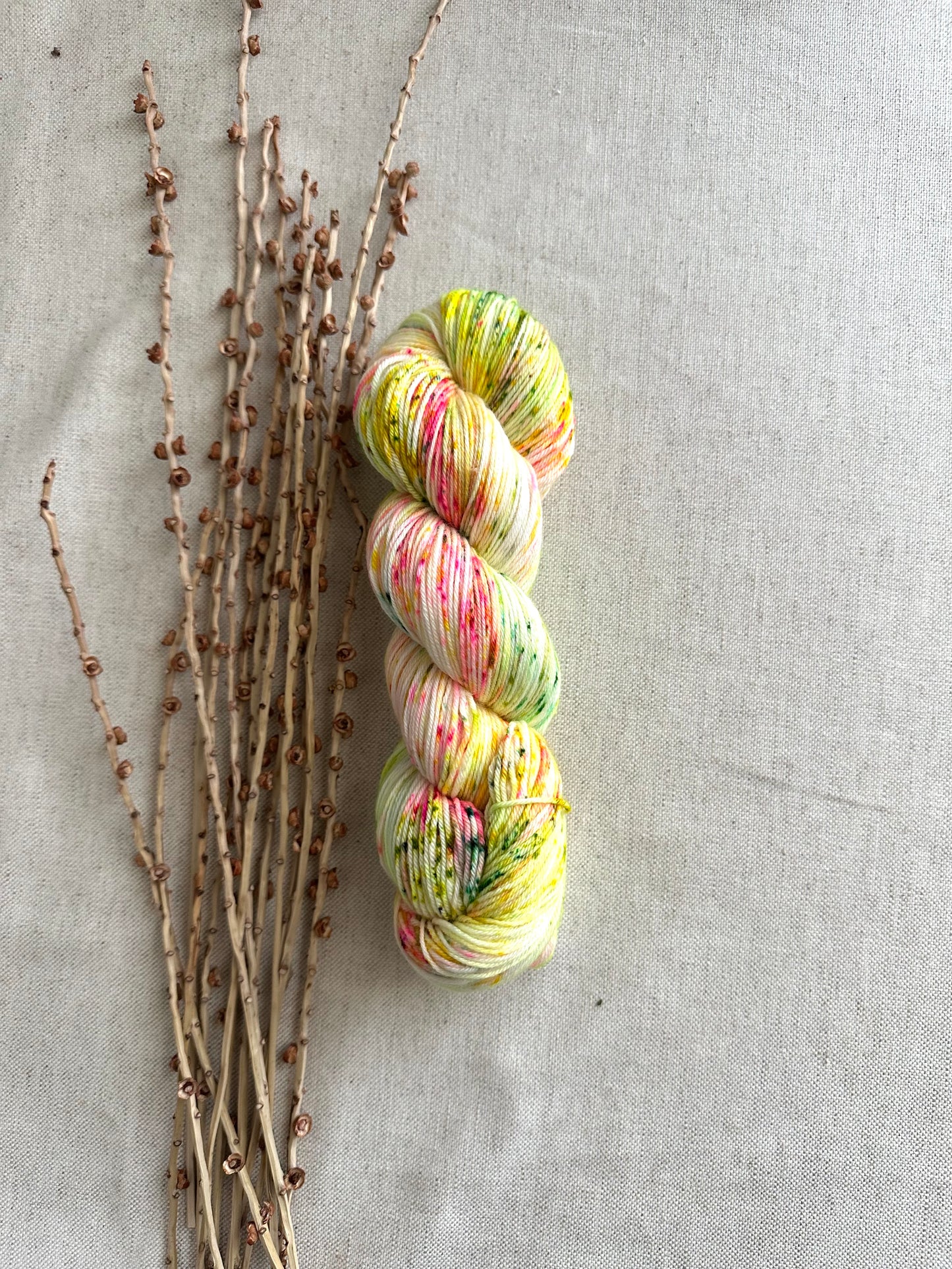 Fizzbin SW Merino Nylon Yarn