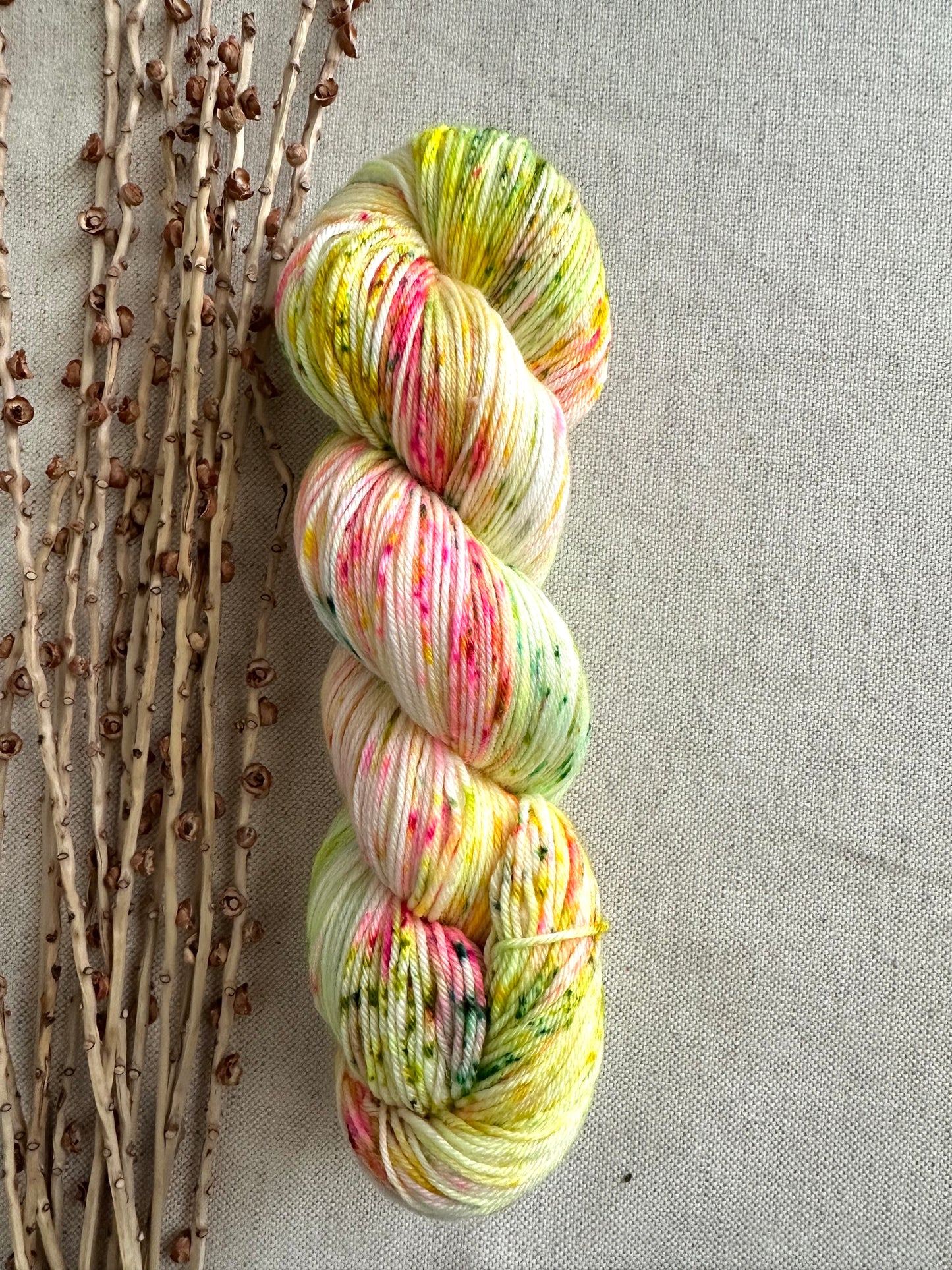 Fizzbin SW Merino Nylon Yarn