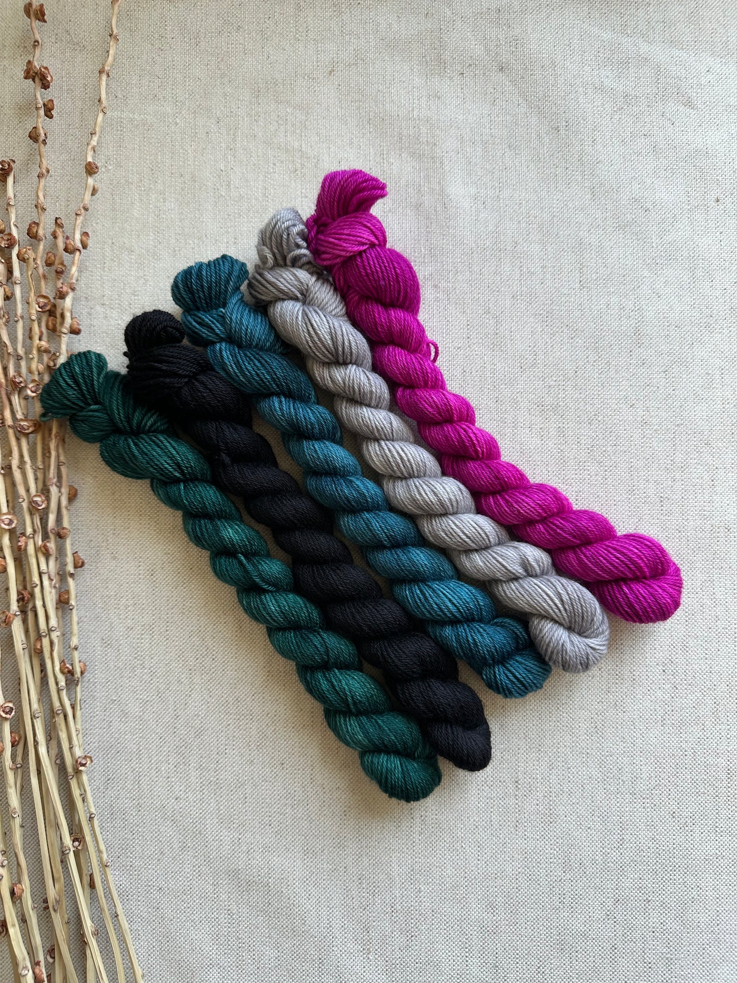 Princess Frog- SW Merino Nylon Mini Skein Set