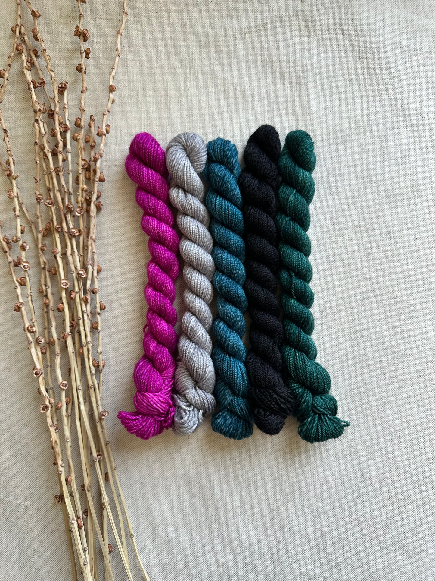 Princess Frog- SW Merino Nylon Mini Skein Set
