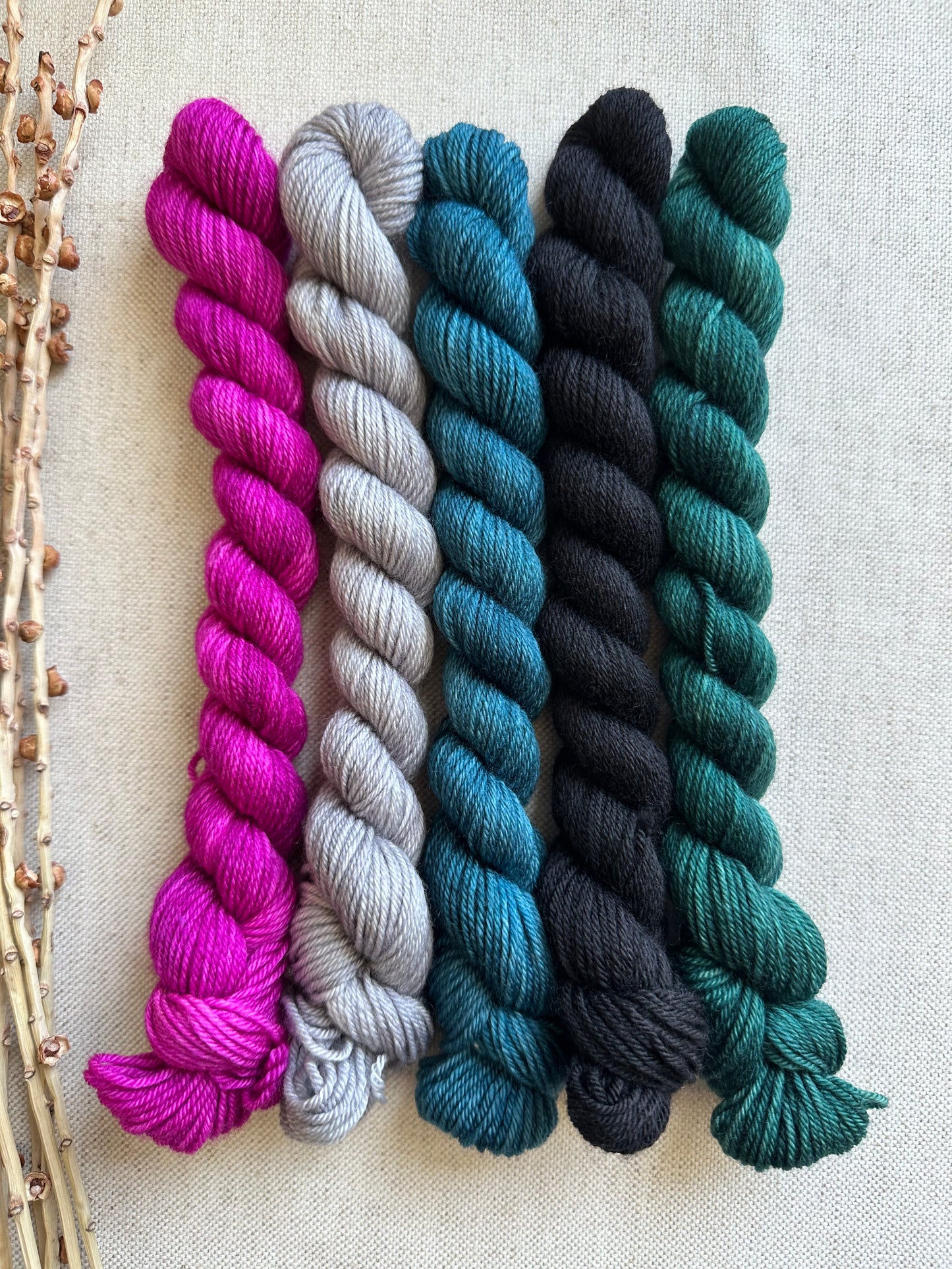 Princess Frog- SW Merino Nylon Mini Skein Set