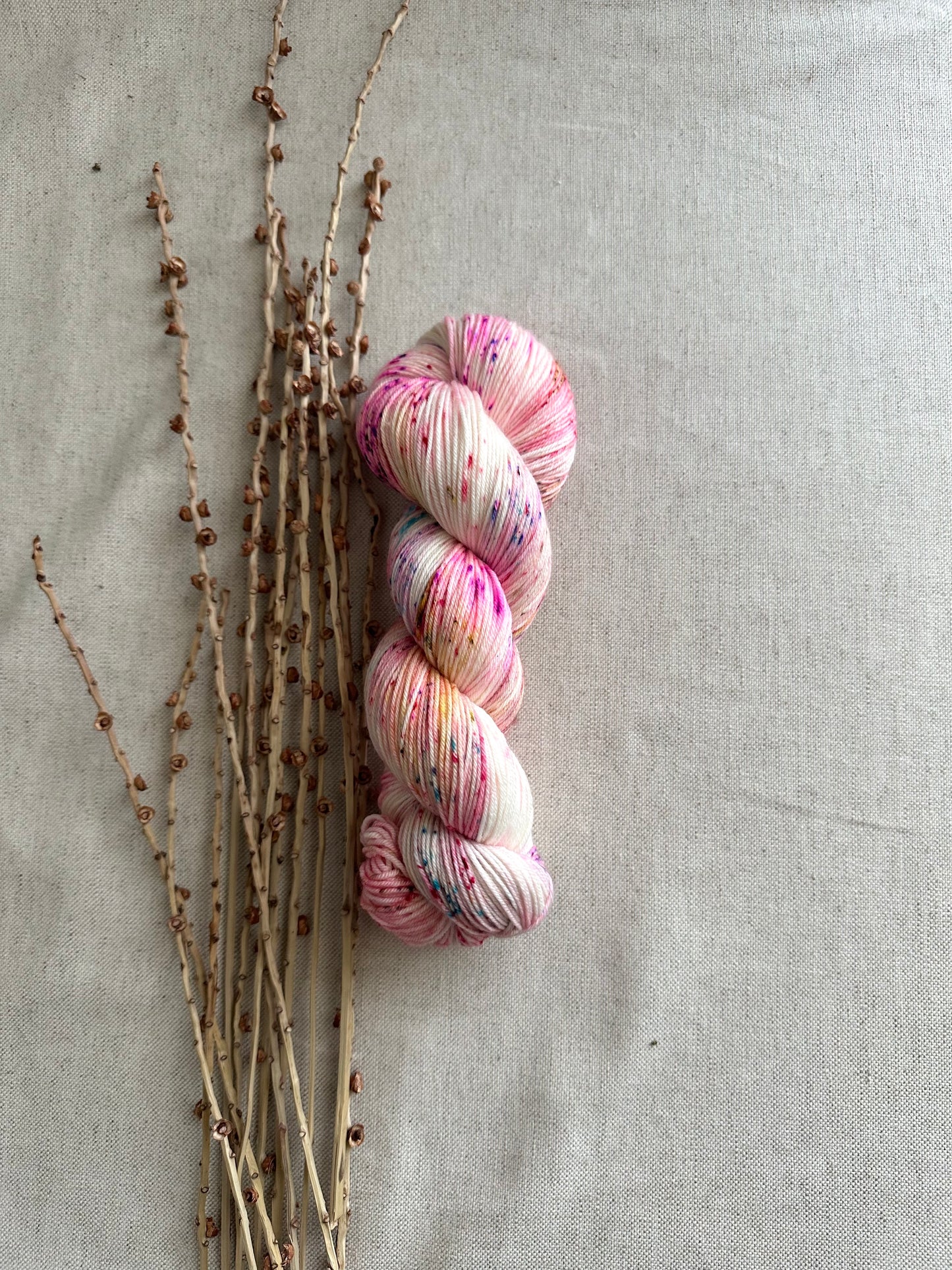 Strawberry Daiquiri SW Merino Nylon Yarn