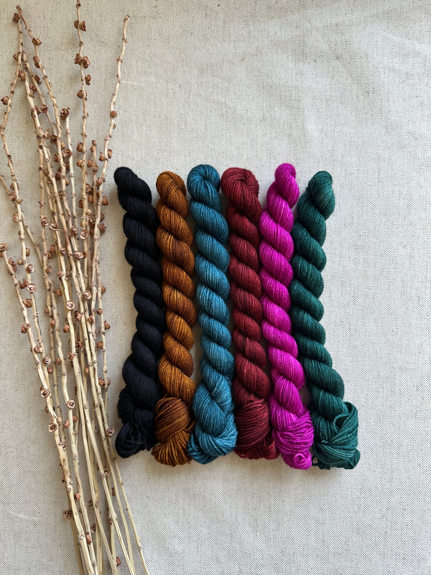 The Kings Jewels - SW Merino Nylon Mini Skein Set