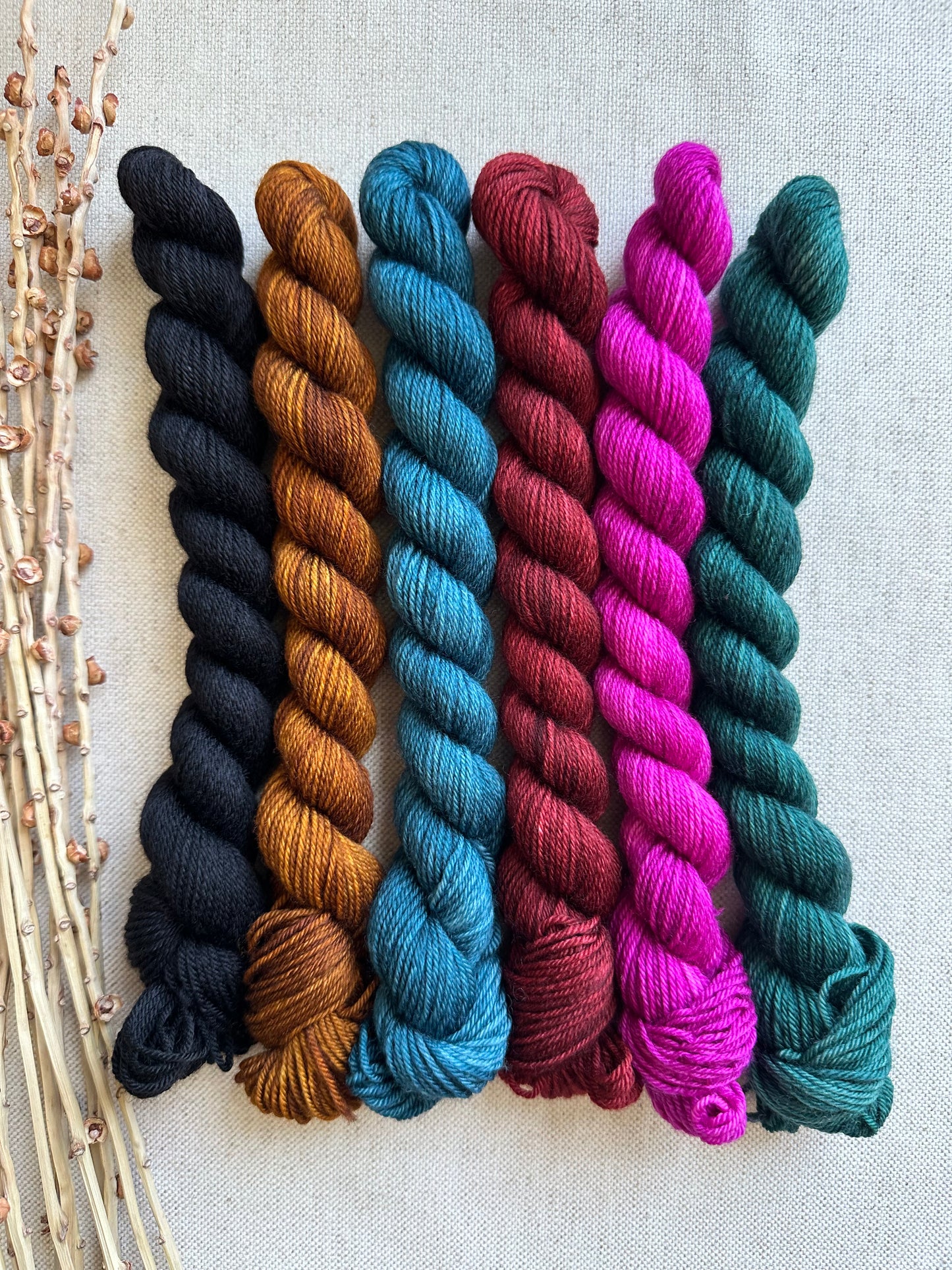 The Kings Jewels - SW Merino Nylon Mini Skein Set
