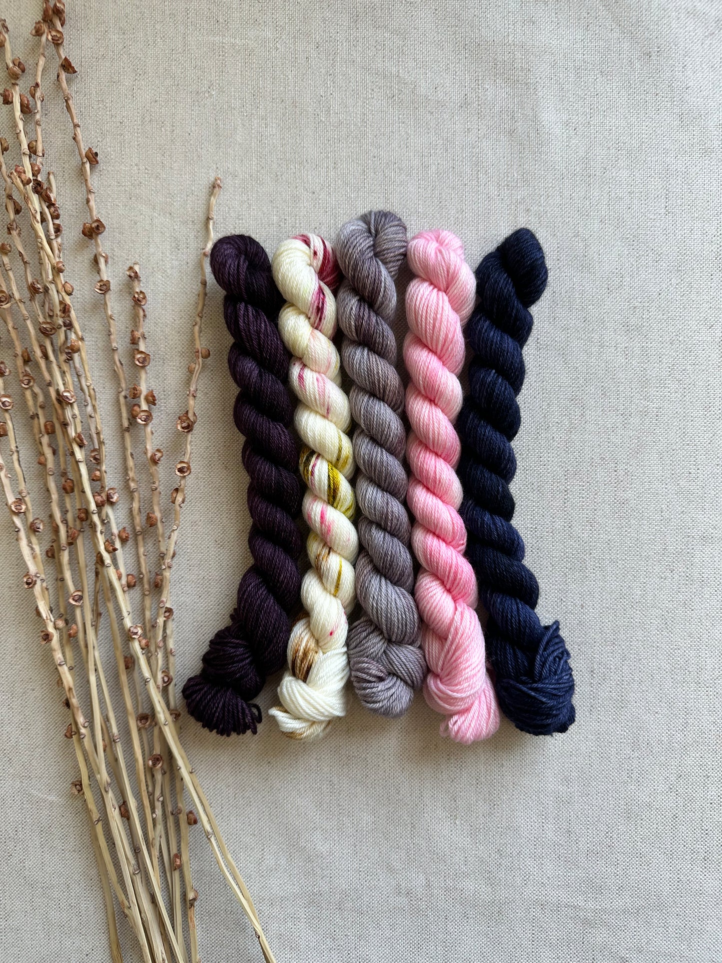 Roses Are Purple - SW Merino Nylon Mini Skein Set