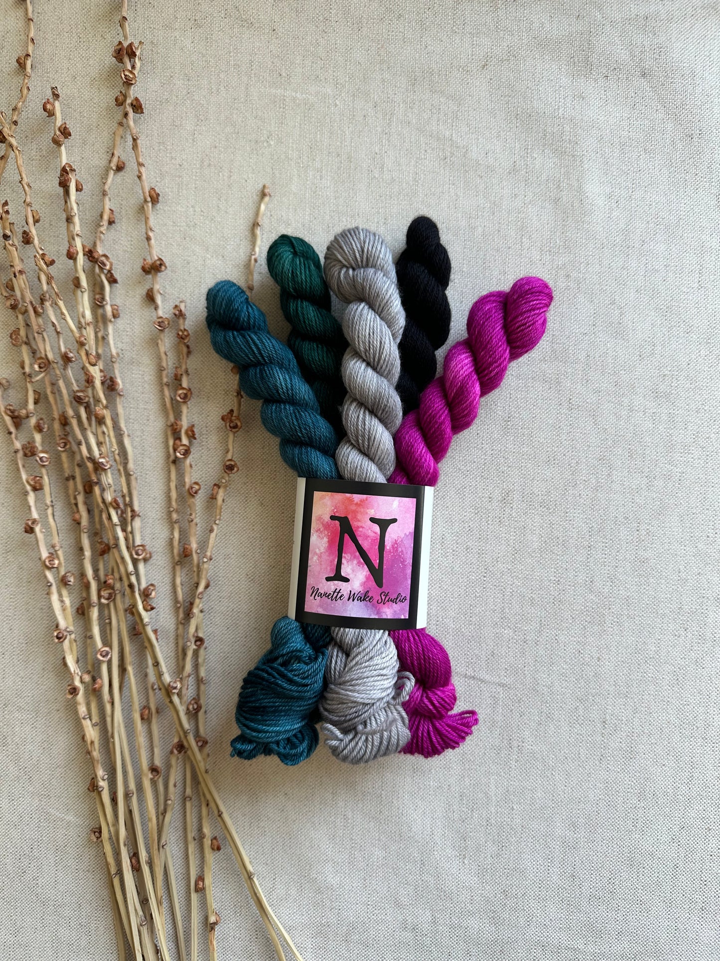 Princess Frog- SW Merino Nylon Mini Skein Set