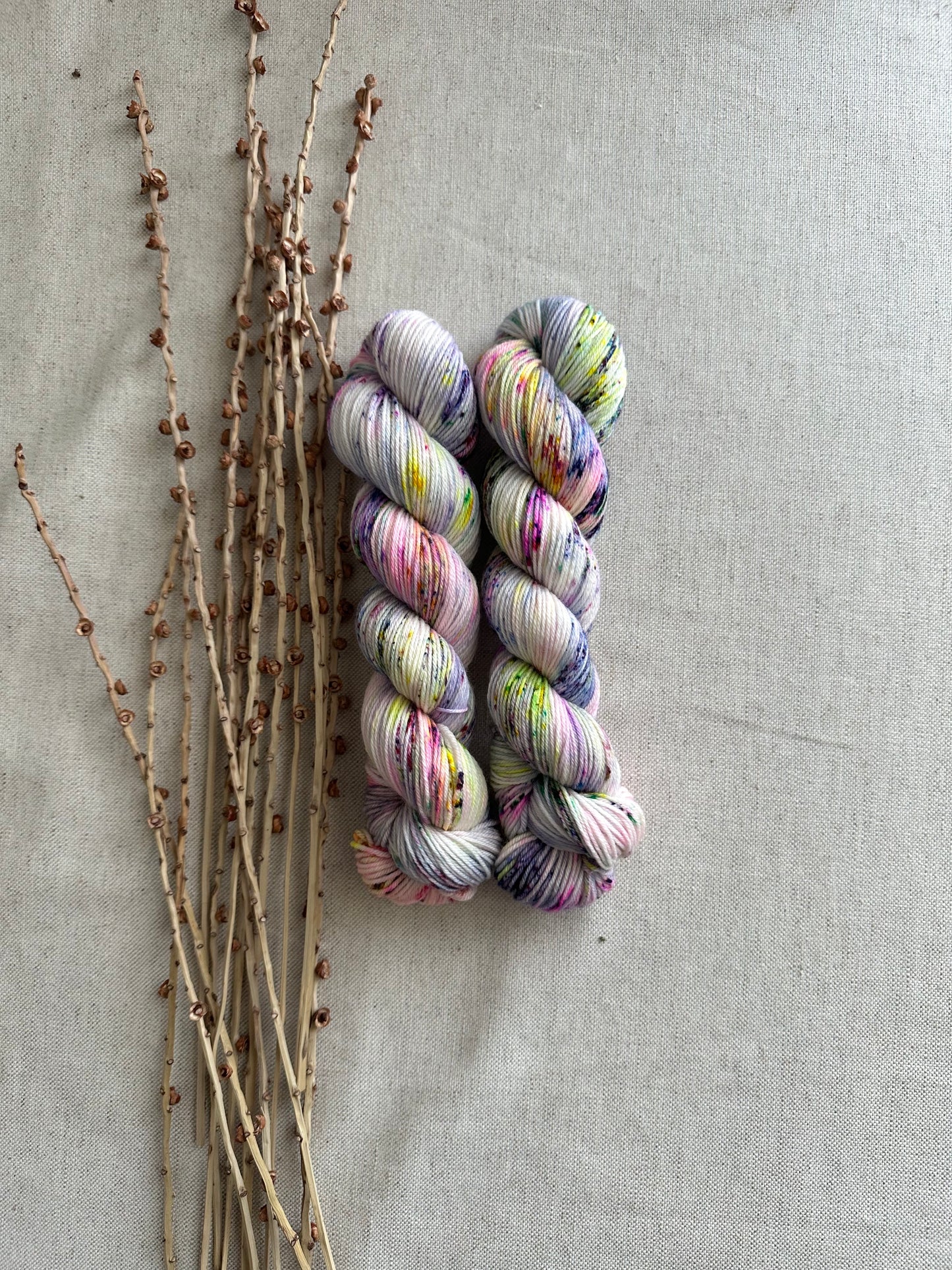 She's Got The Look SW Merino Nylon 50g Skein