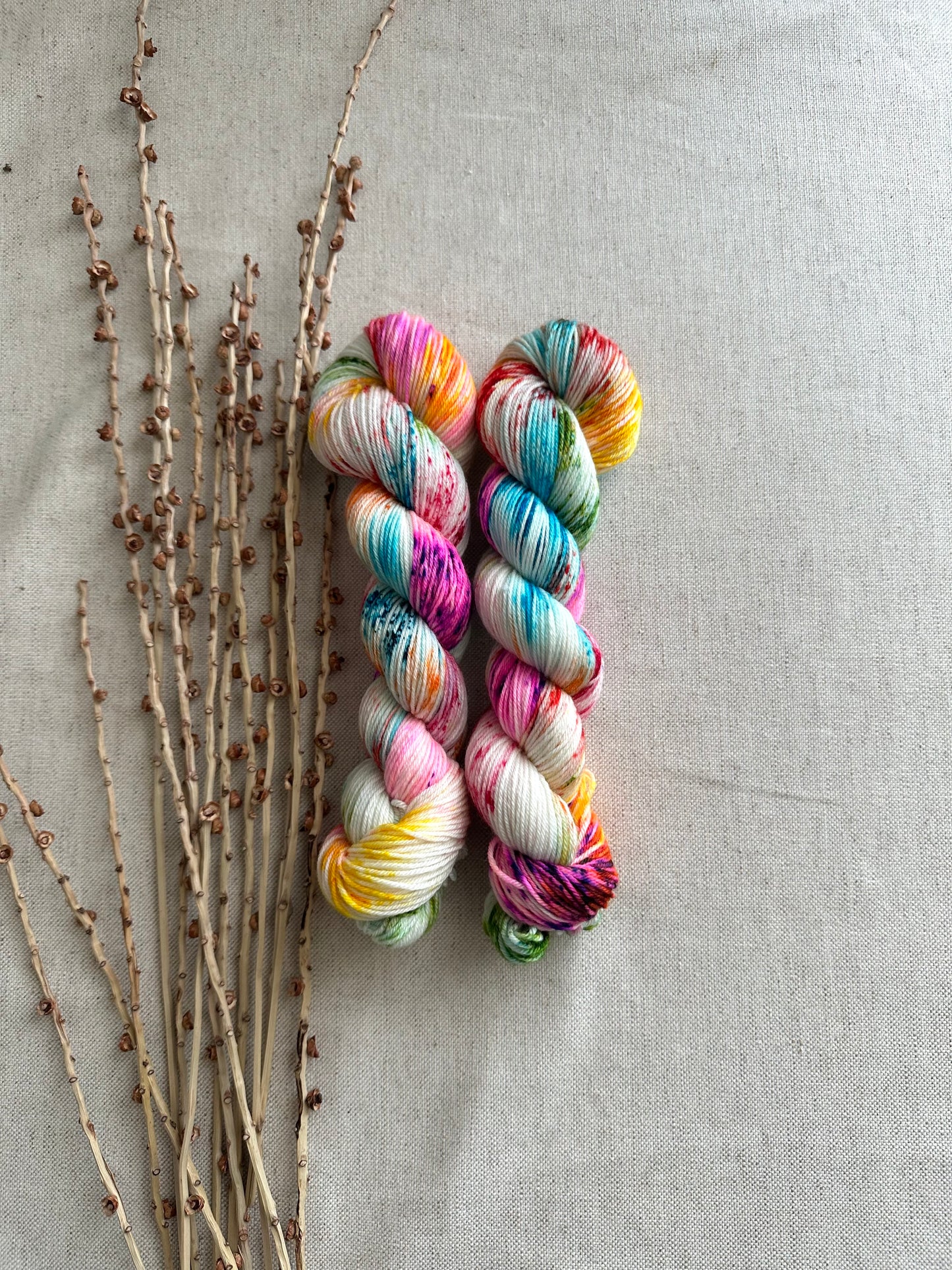 Baja SW Merino Nylon 50g Skein
