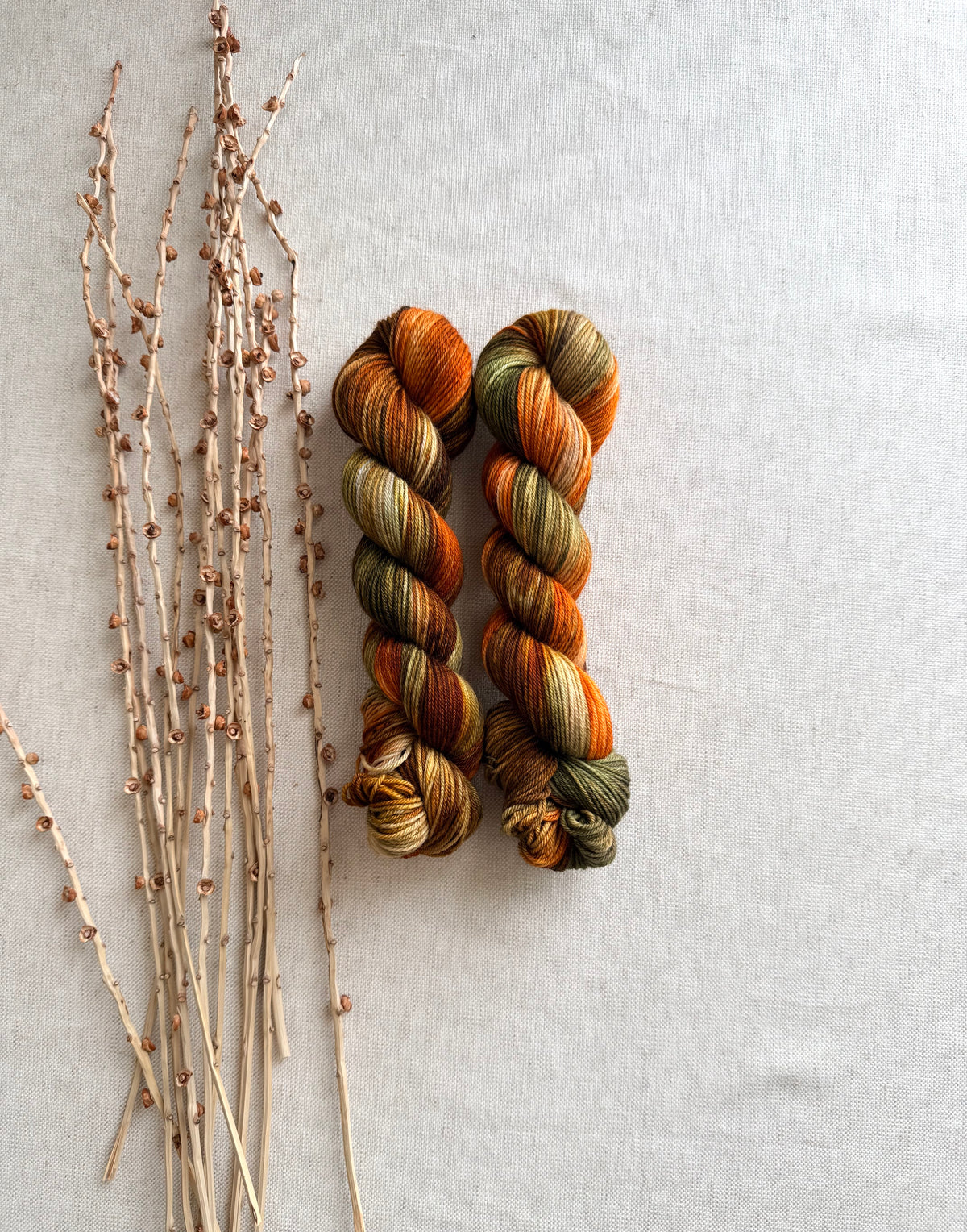 Leafing Into Fall SW Merino Nylon 50g Skein