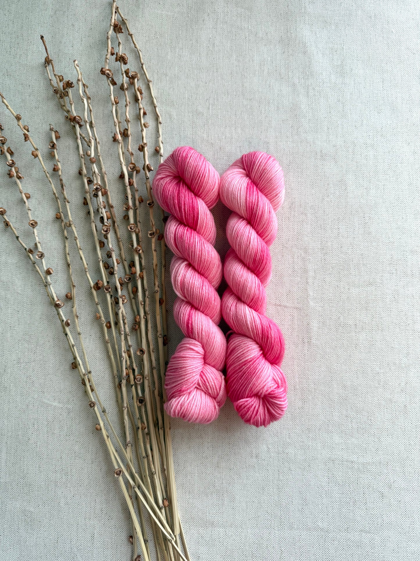 Strawberry Rickey SW Merino Nylon 50g Skein