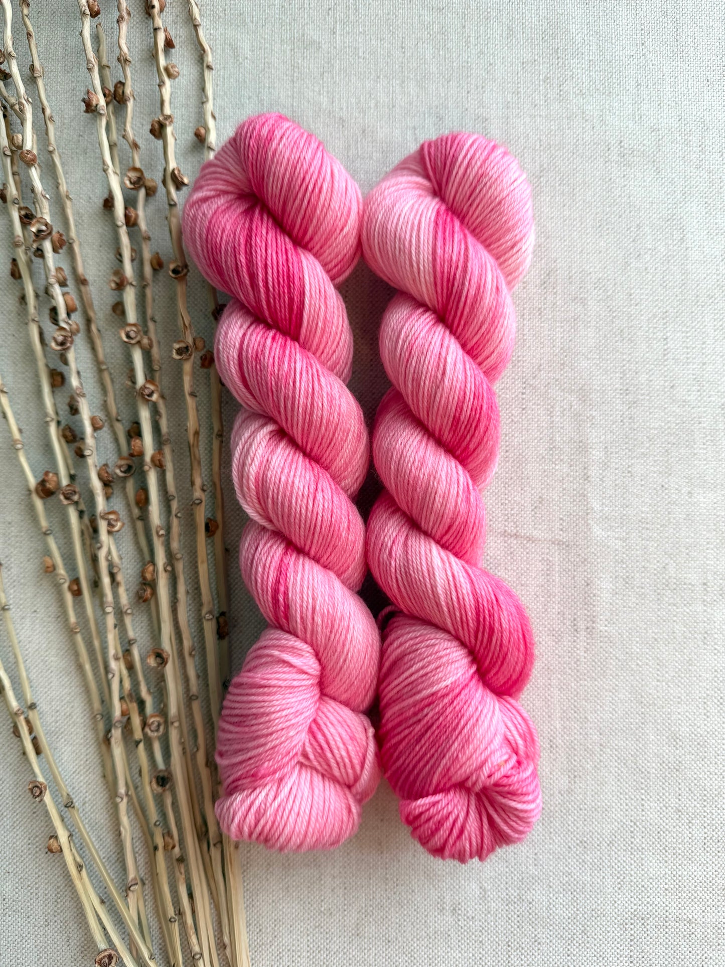 Strawberry Rickey SW Merino Nylon 50g Skein