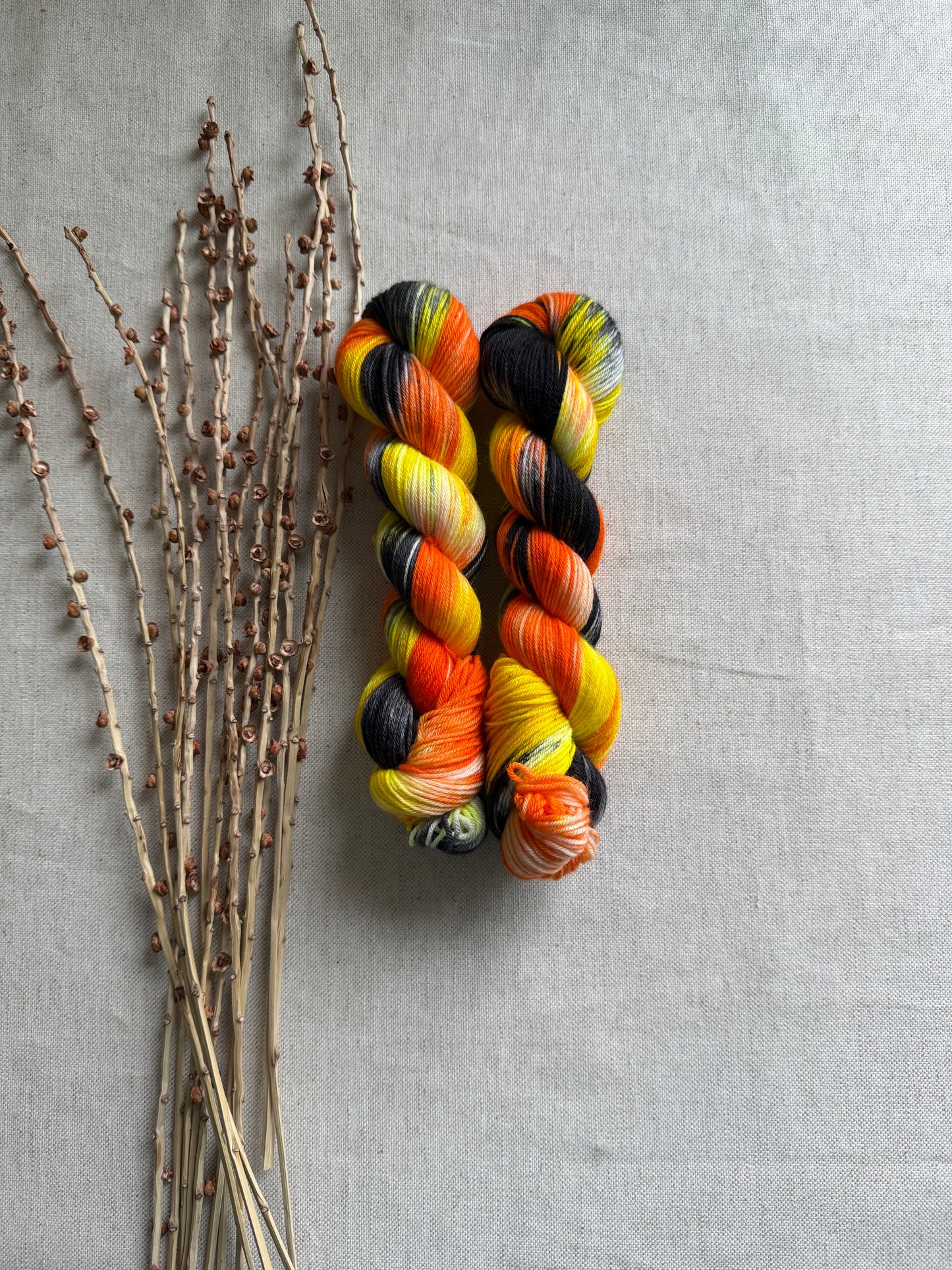Licorice Twist SW Merino Nylon 50g Skein