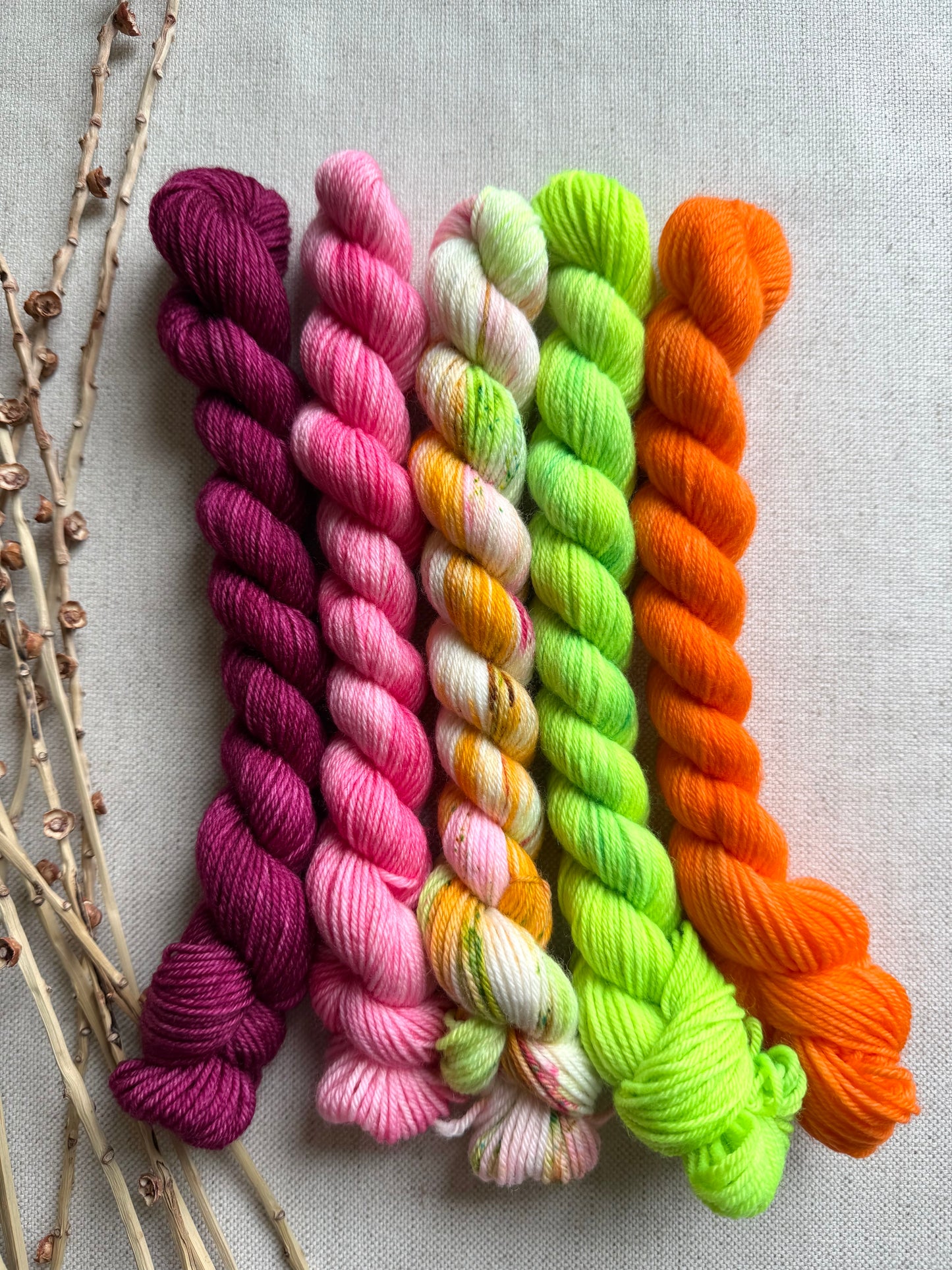 Rainbow Sherbet - SW Merino Nylon Mini Skein Set