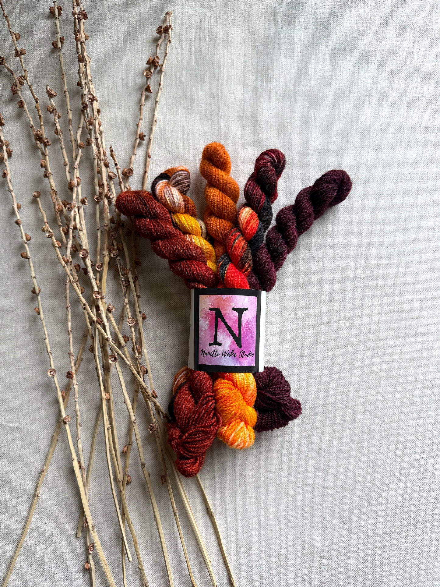 Snap, Crackle - SW Merino Nylon Mini Skein Set