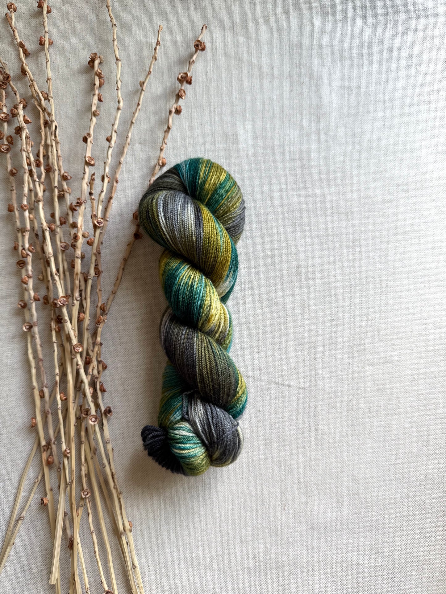 Tolmie State Park - A Washington State Colorway 100g Skein