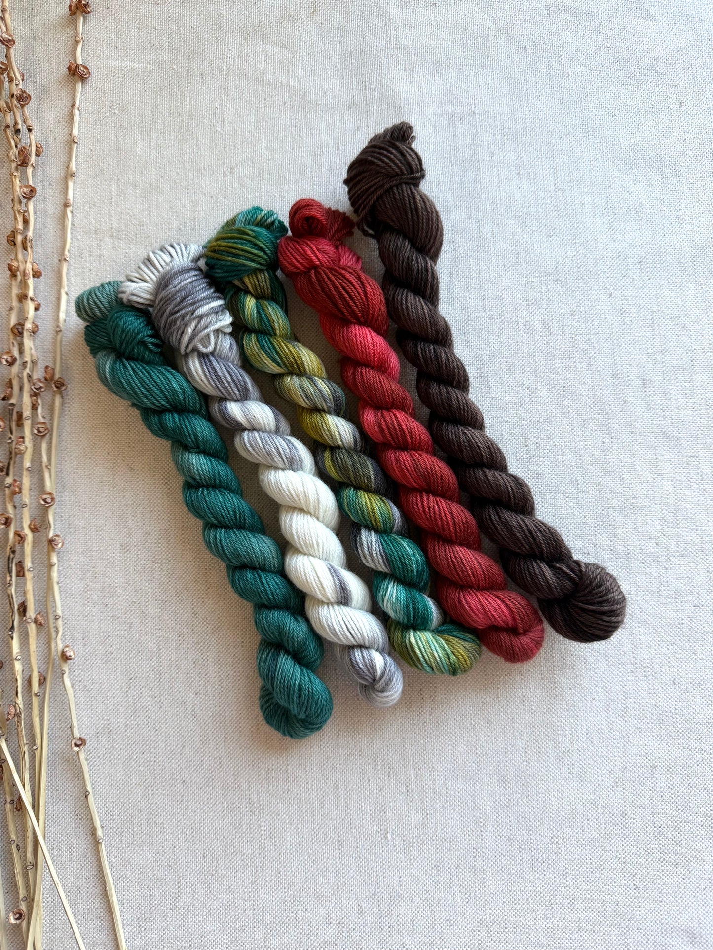 Tolmie State Park - A Washington State Colorway - SW Merino Nylon Mini Skein Set