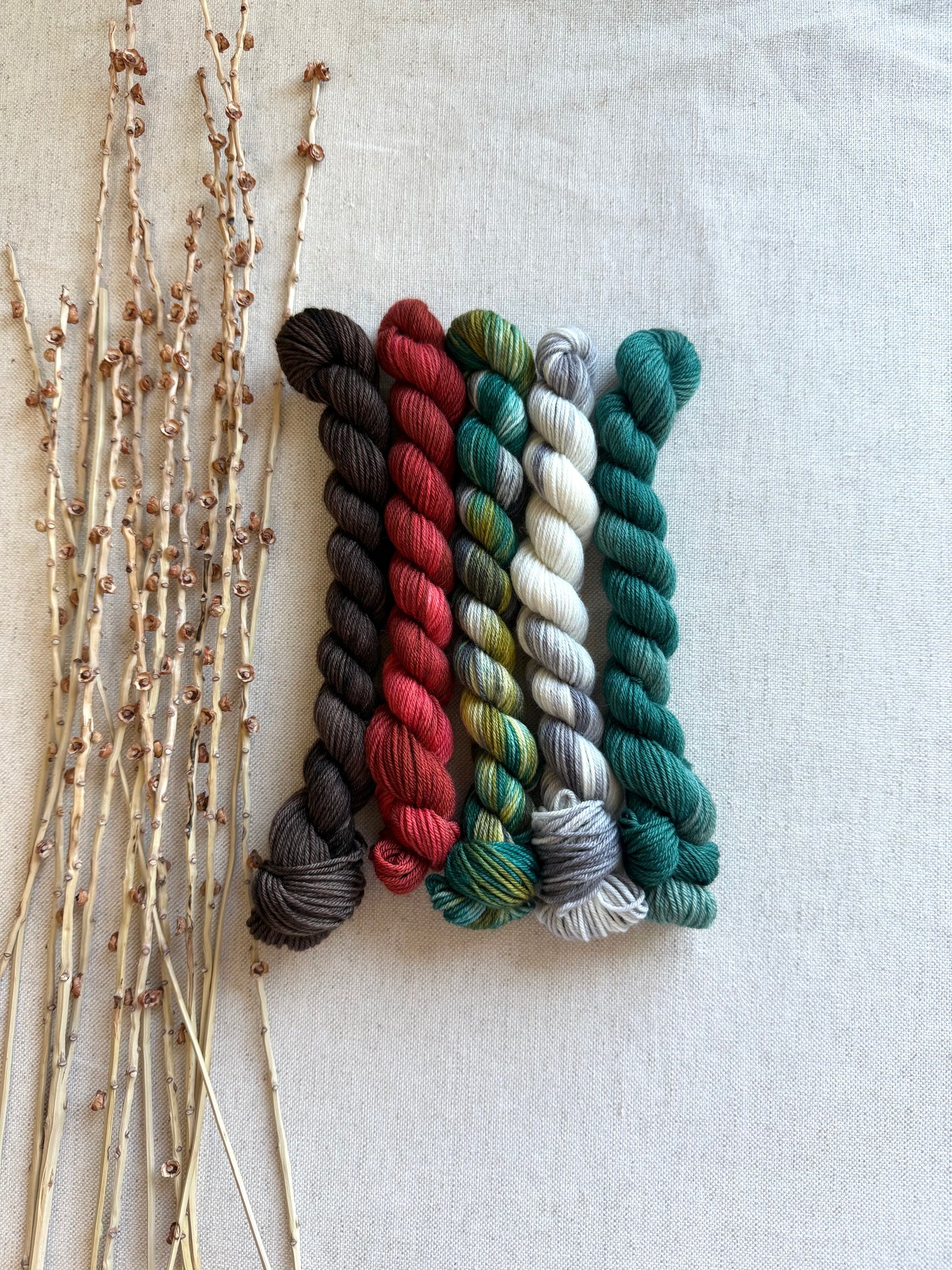 Tolmie State Park - A Washington State Colorway - SW Merino Nylon Mini Skein Set