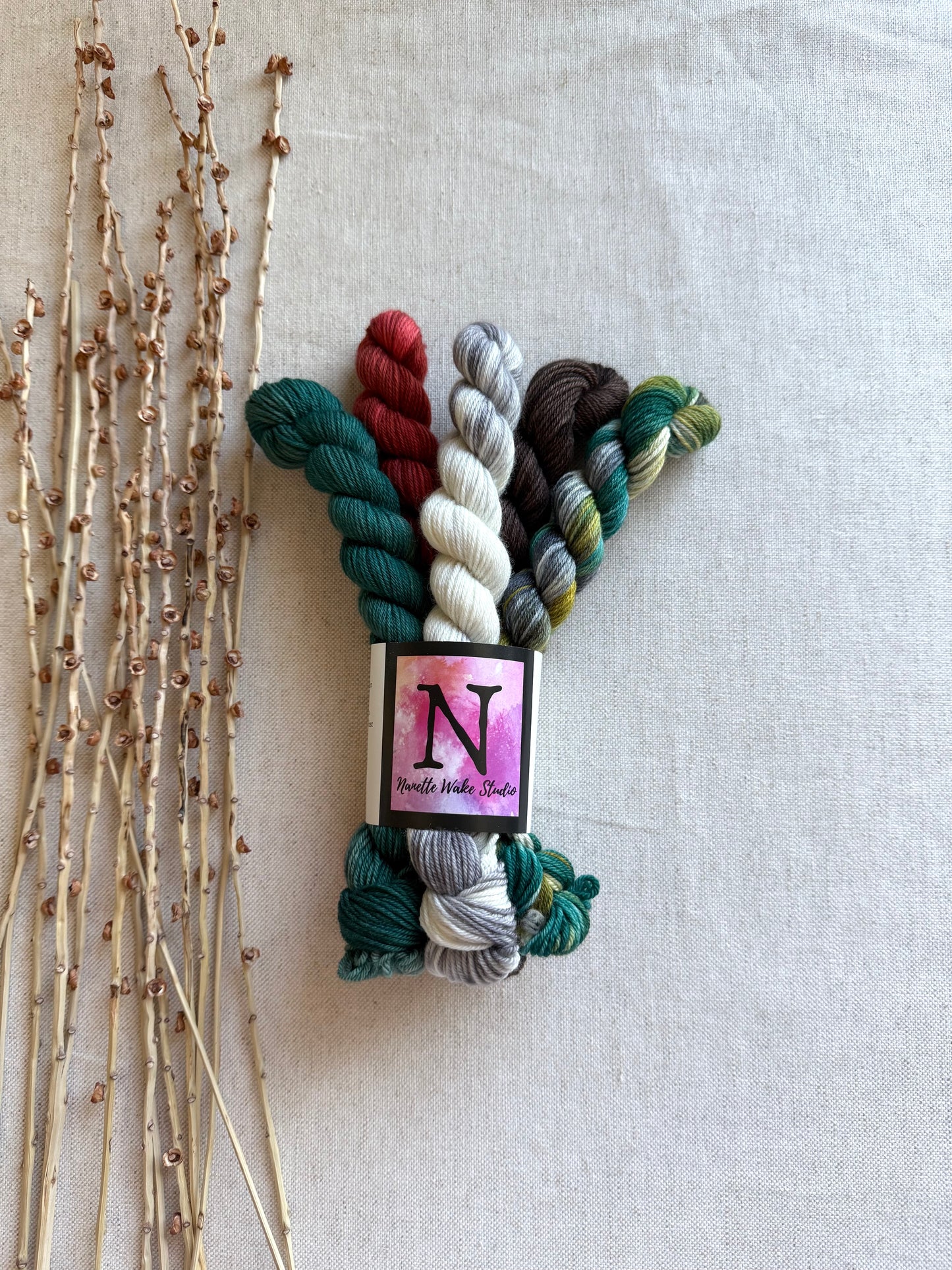 Tolmie State Park - A Washington State Colorway - SW Merino Nylon Mini Skein Set