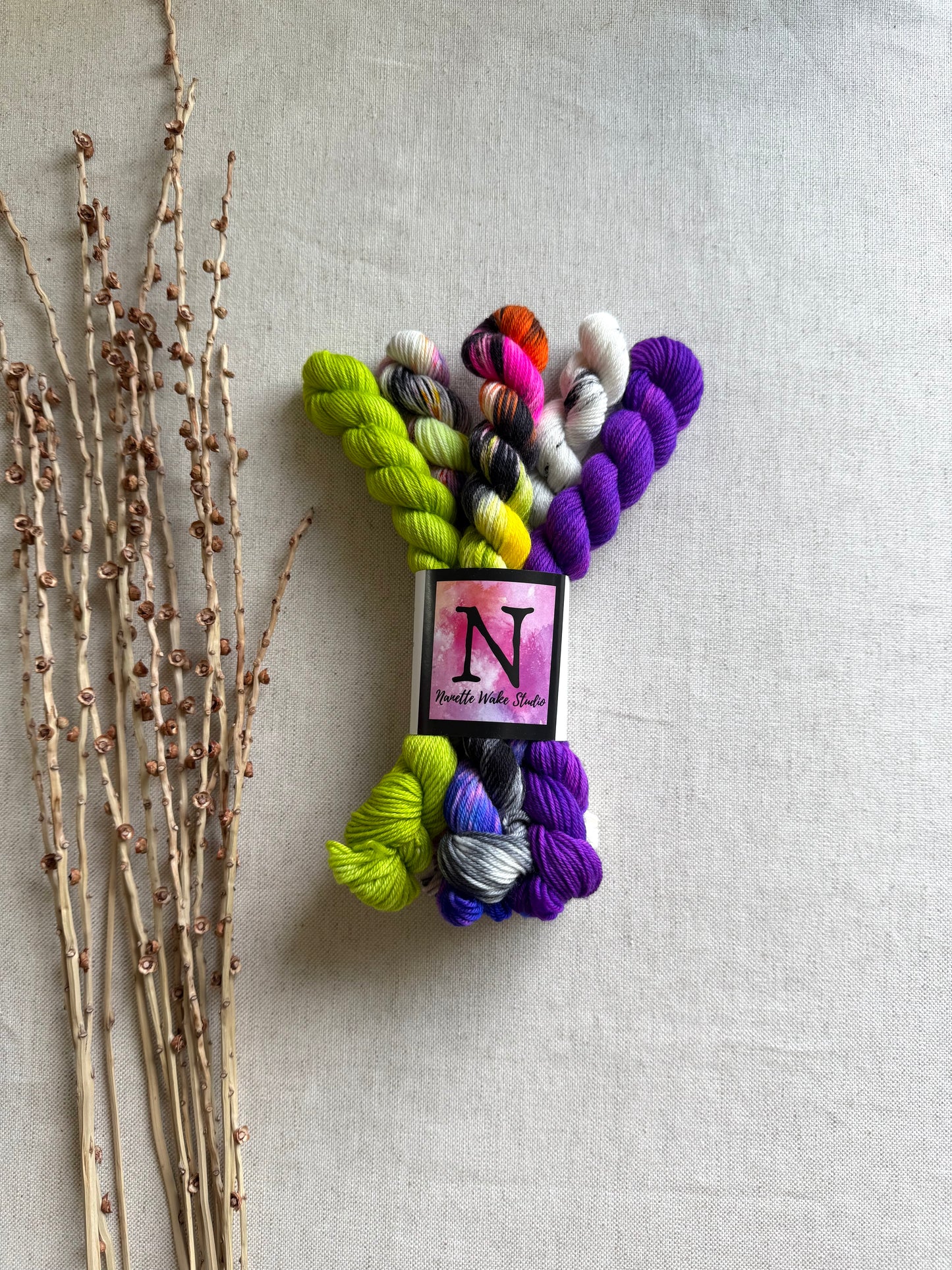 She Squished The Witch - SW Merino Nylon Mini Skein Set