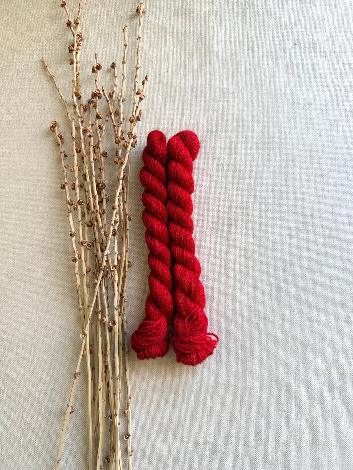 Poinsettia - Soft Sock Mini